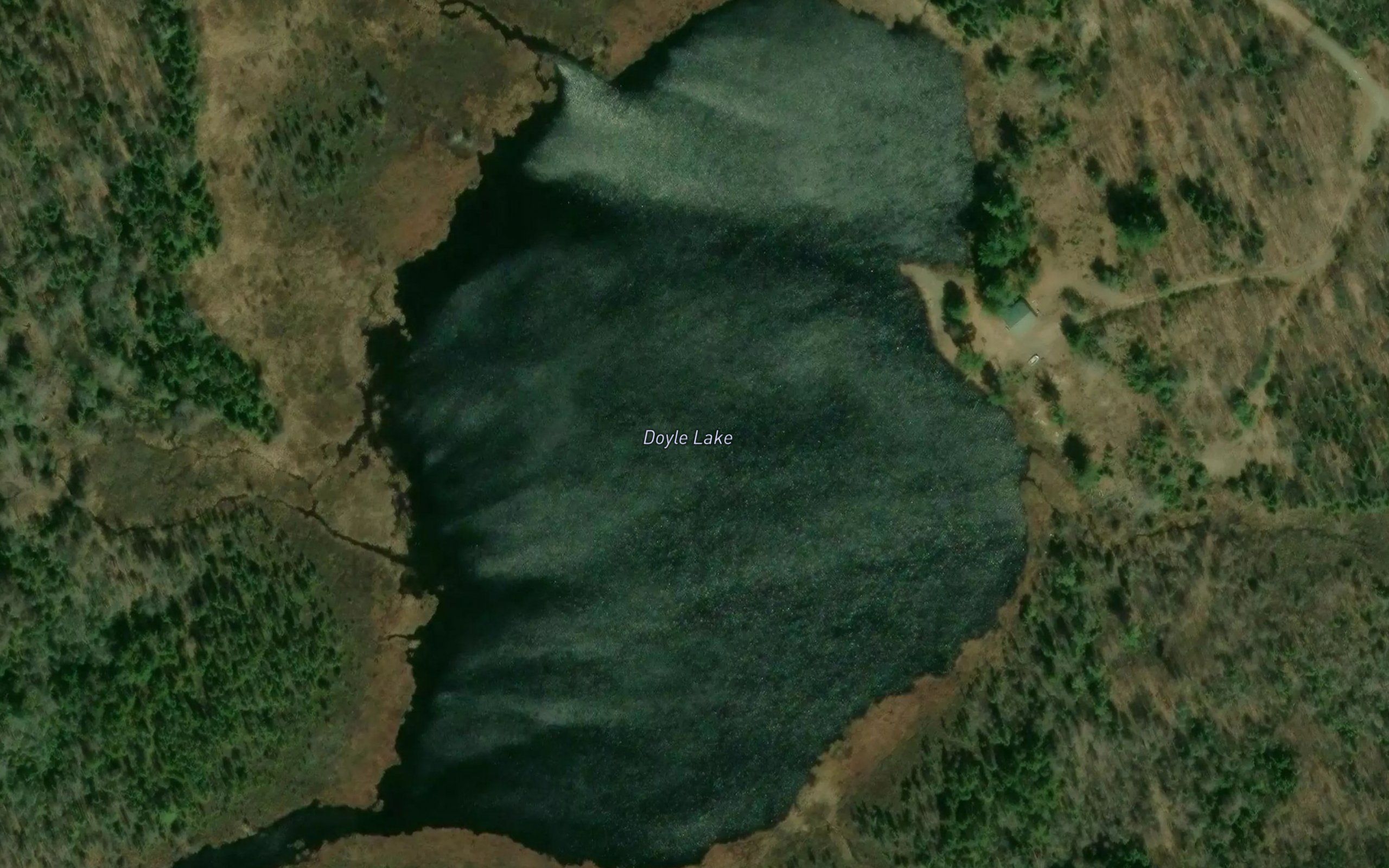 Doyle Lake