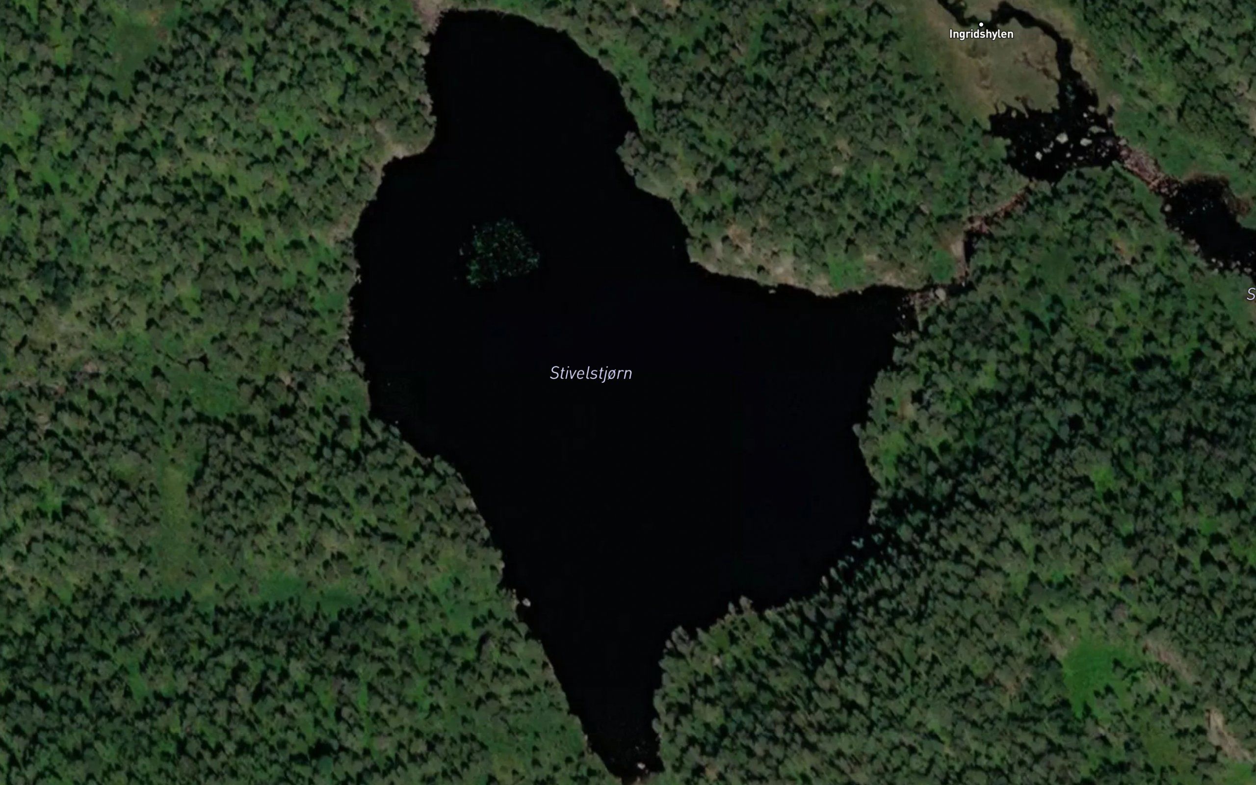 Stivelstjorn