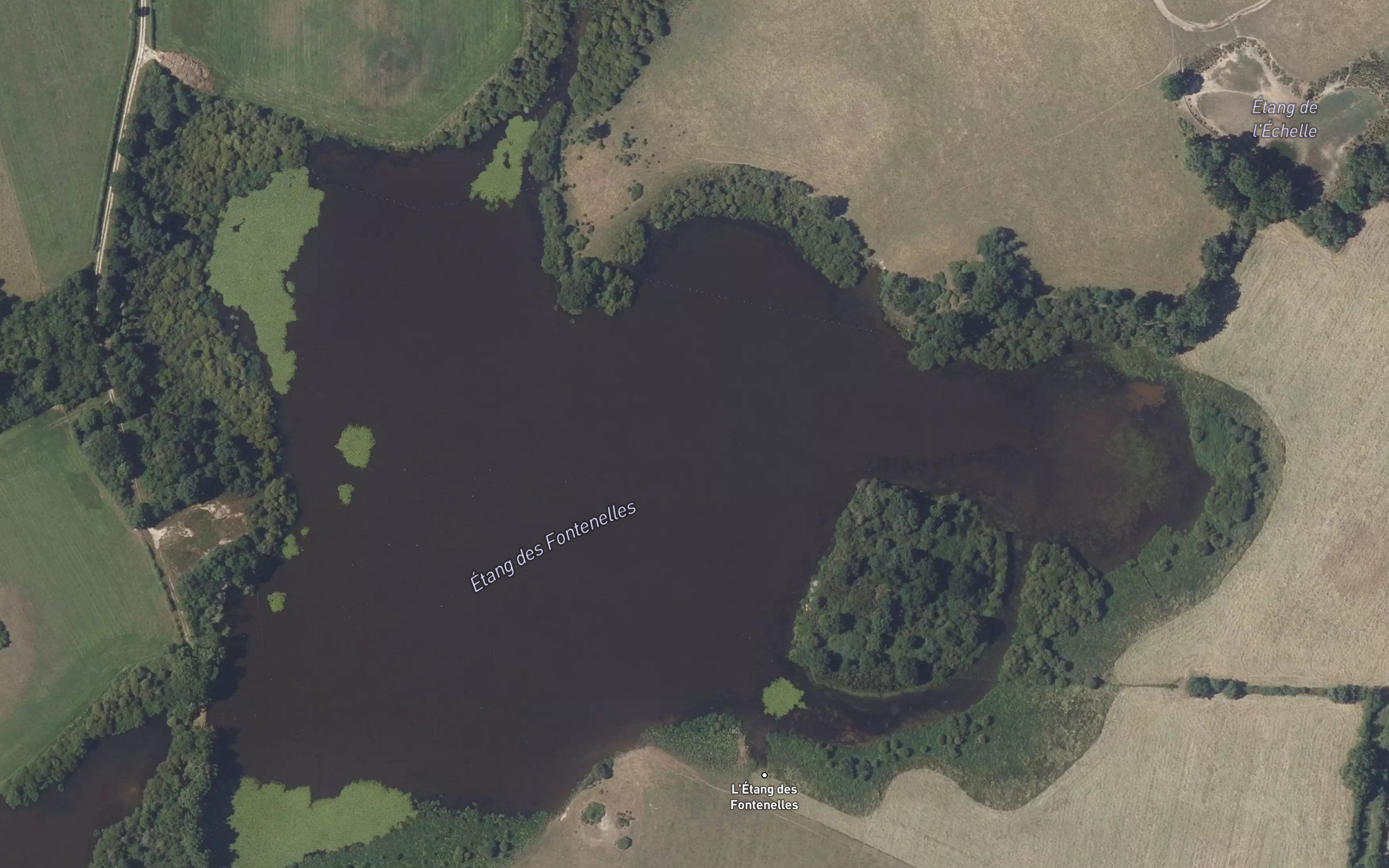 Etang des Fontenelles