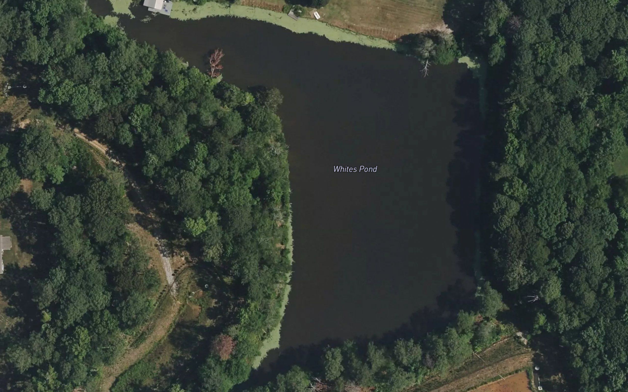 Whites Pond