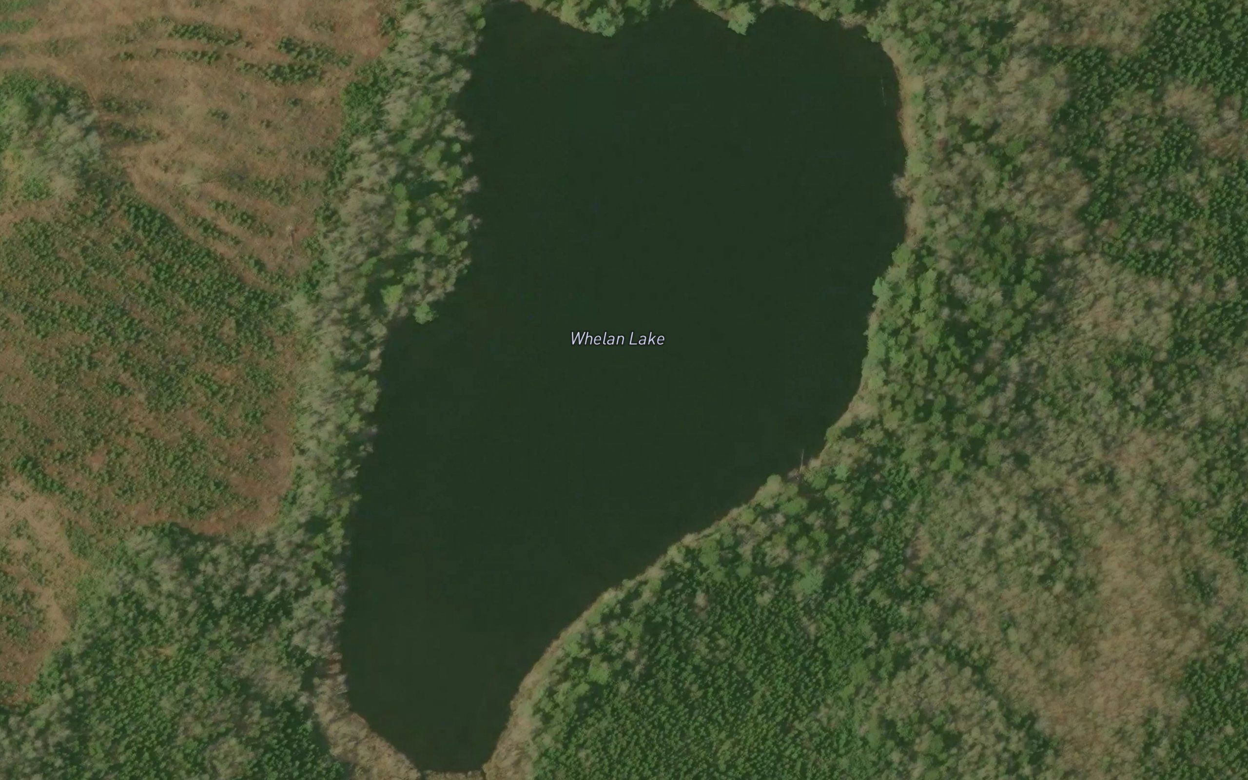 Whelan Lake