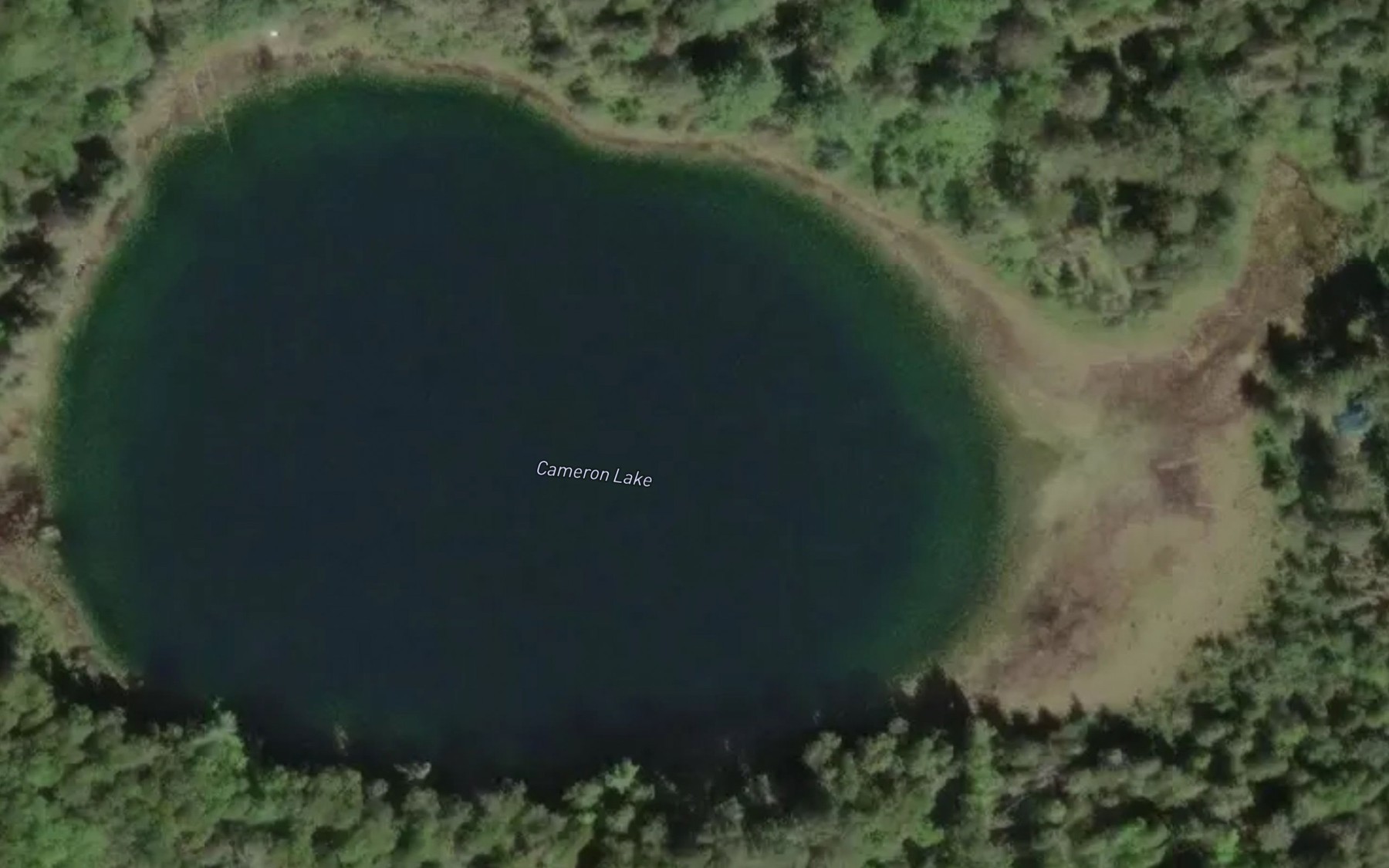 Satellite map of the Cameron Lake