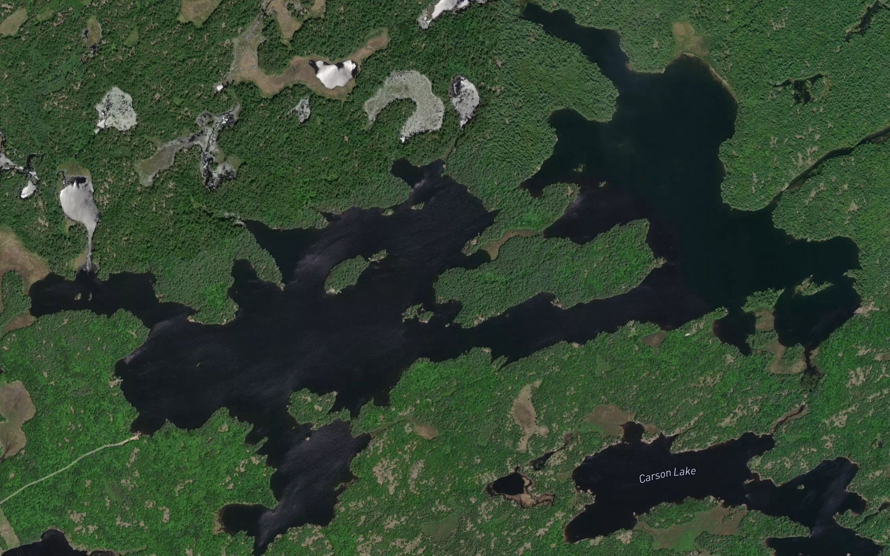 Satellite map of the Bolger Lake
