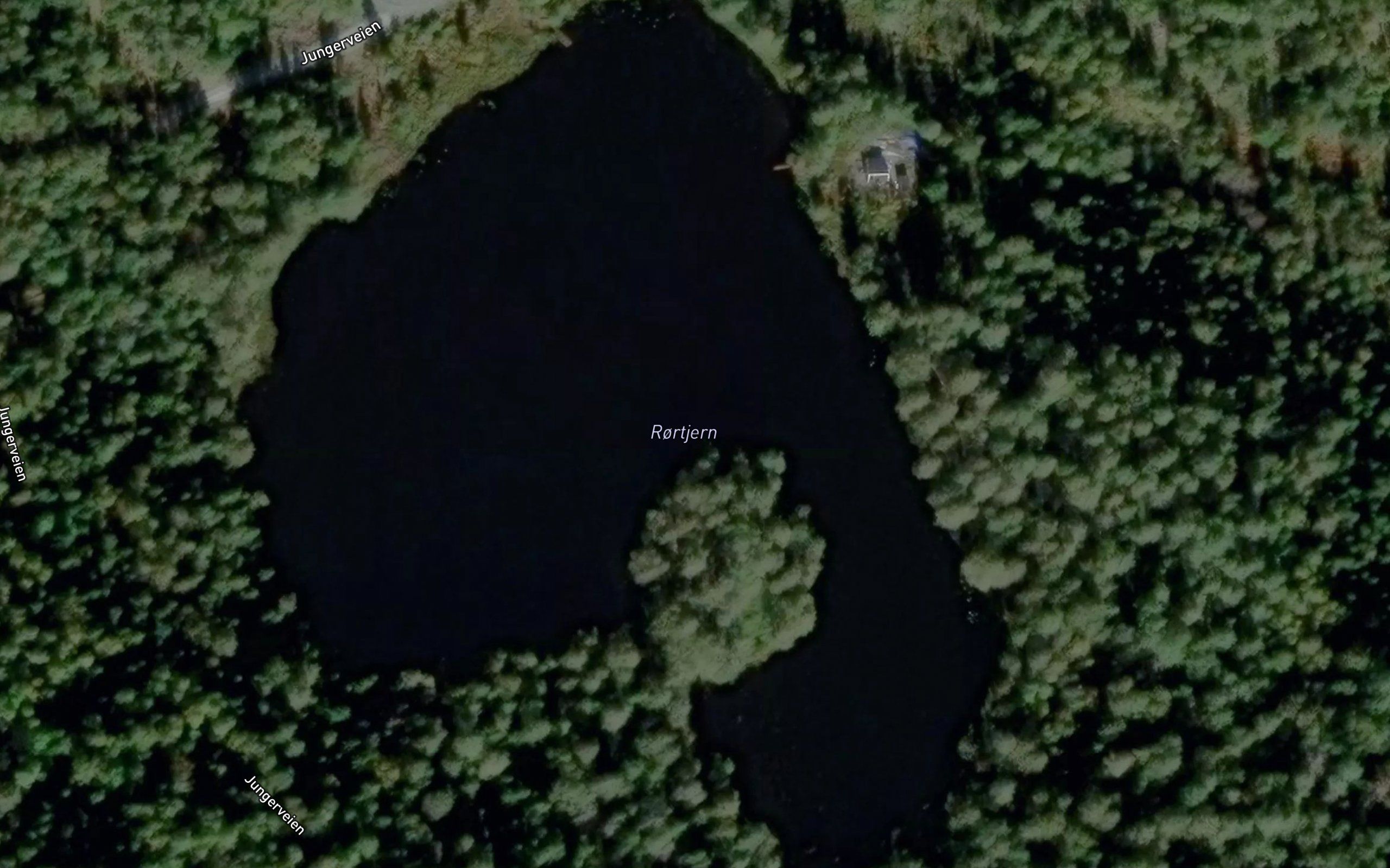 Rortjern