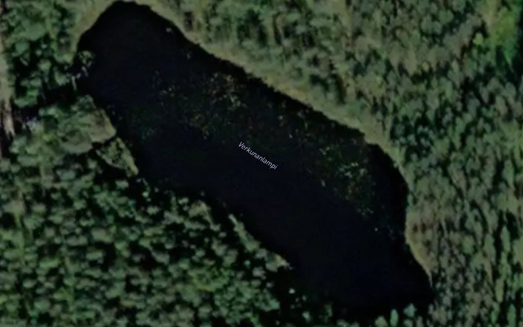 Satellite map of the Verkunanlampi