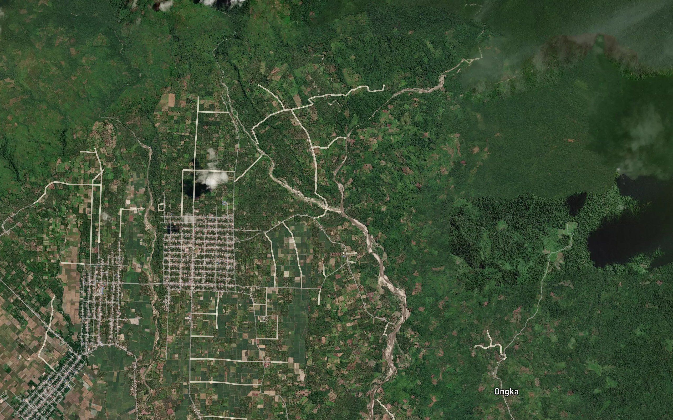 Botaonyo Malino Kecil