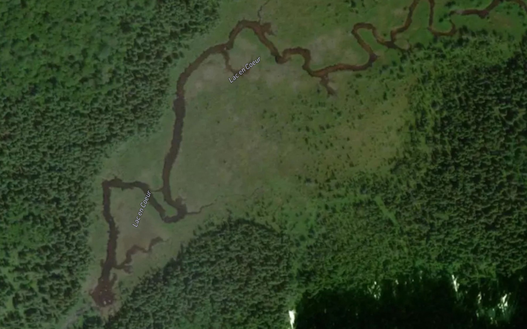 Satellite map of the Crique Vincent