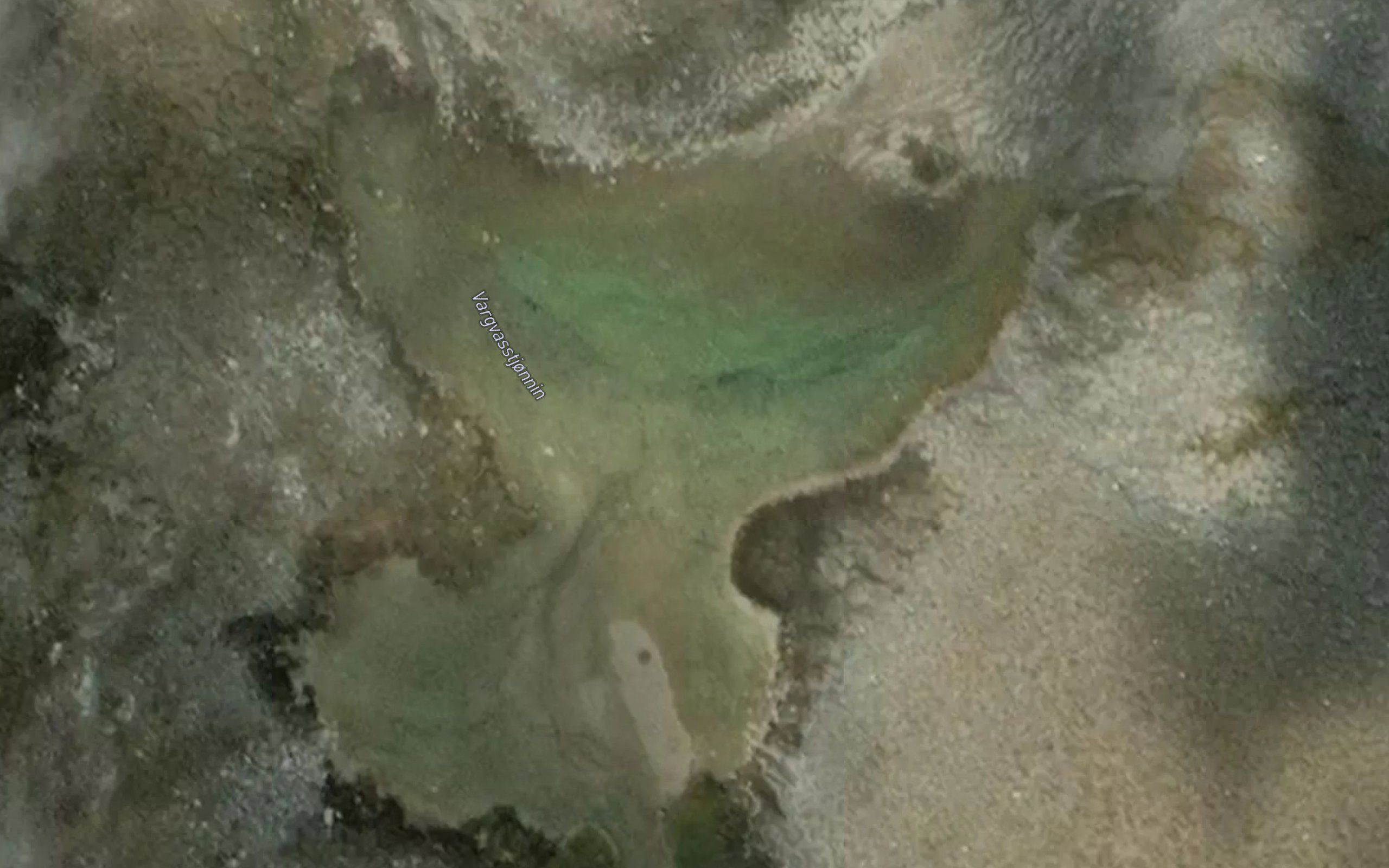Vargvasstjornane