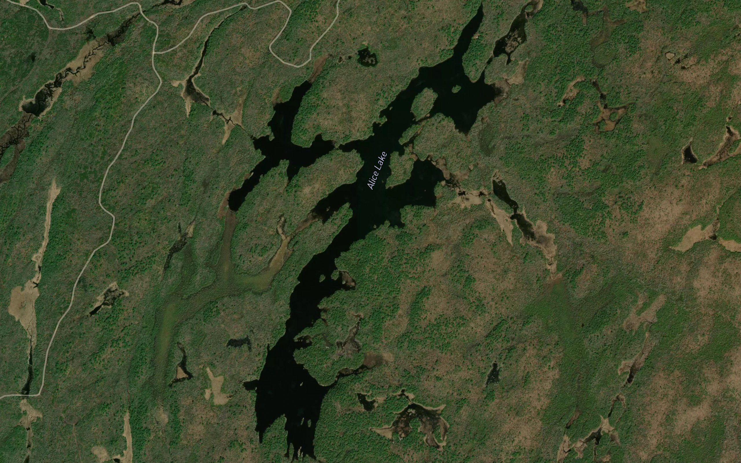 Alice Lake
