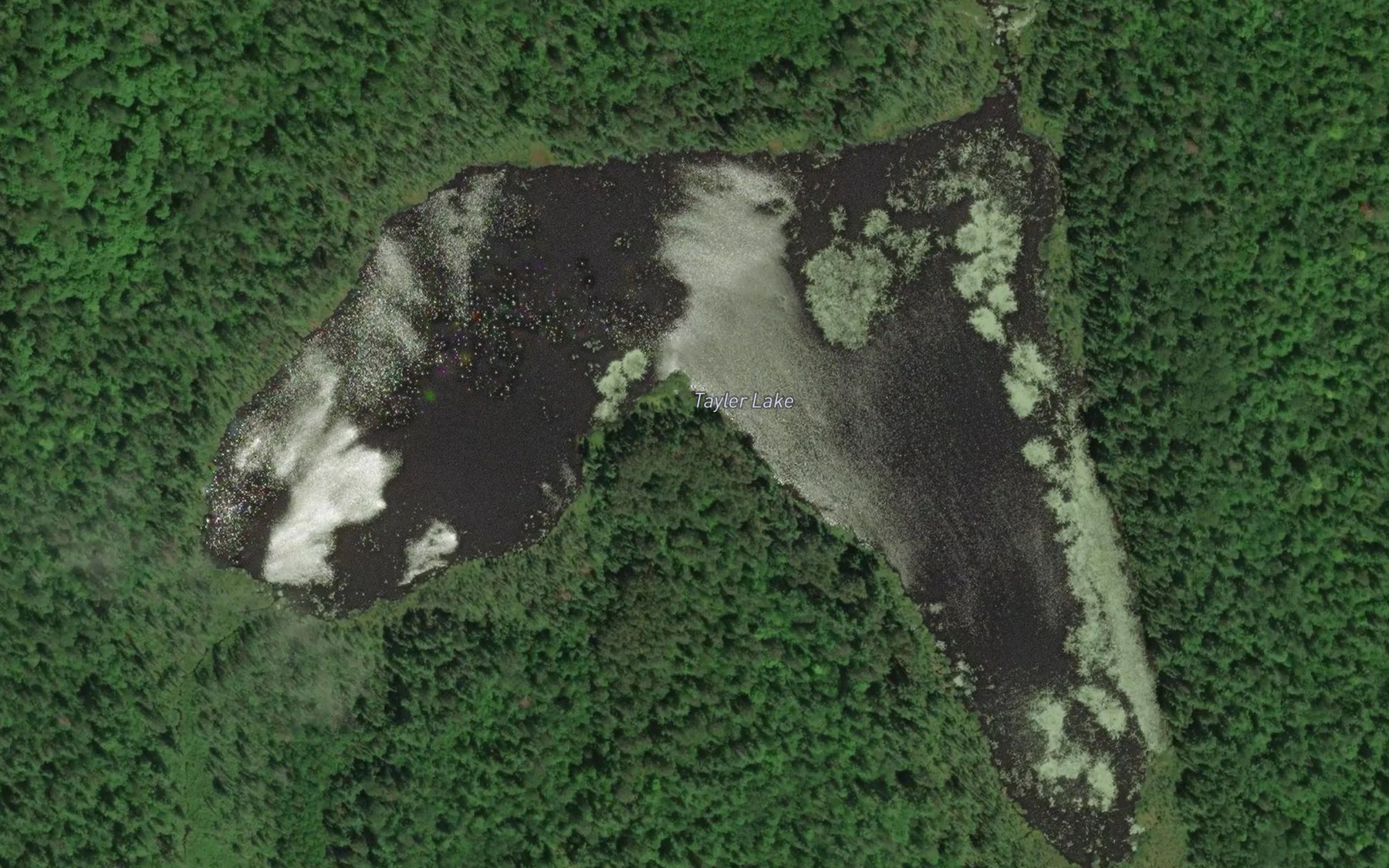 Satellite map of the Tayler Lake