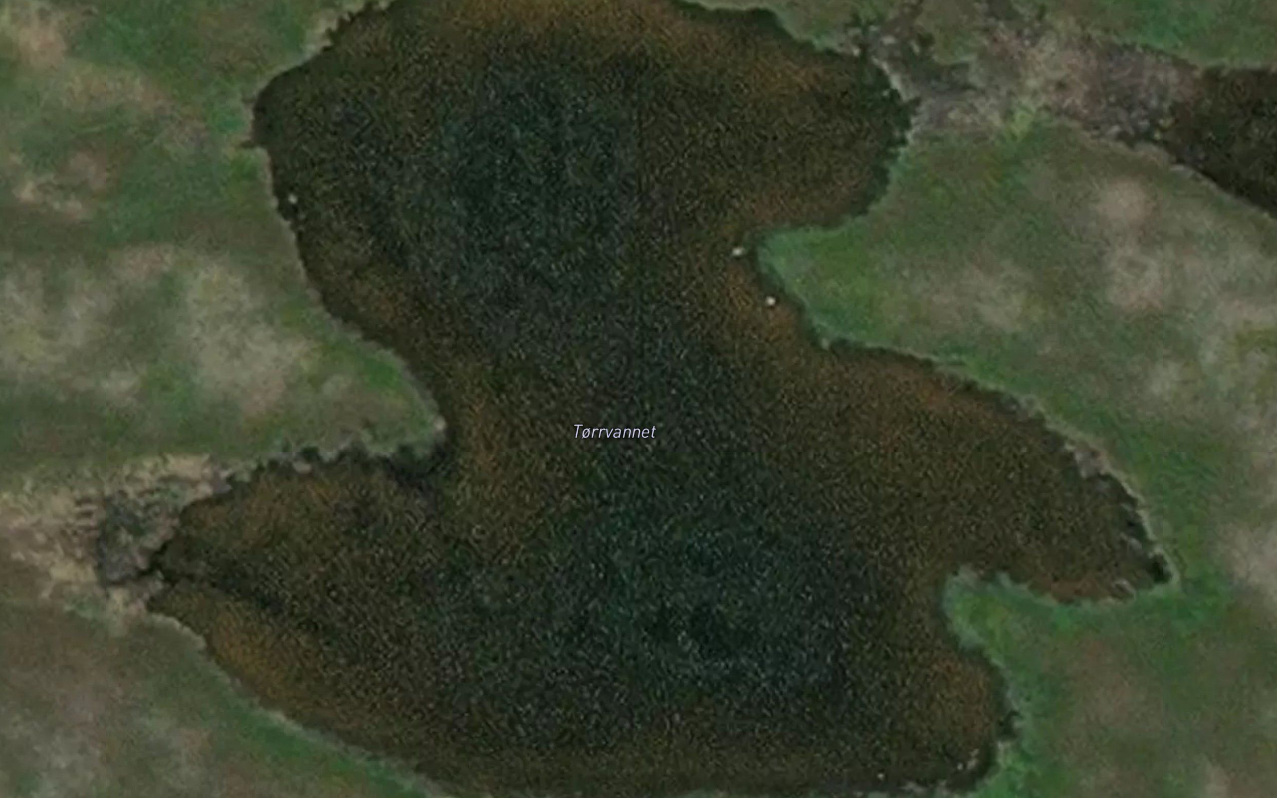 Torrvatnet