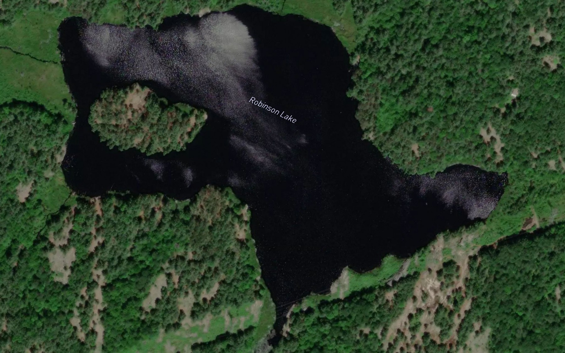 Satellite map of the Robinson Lake
