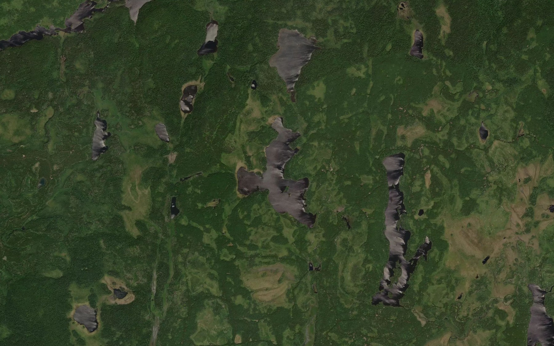 Satellite map of the Page Lake