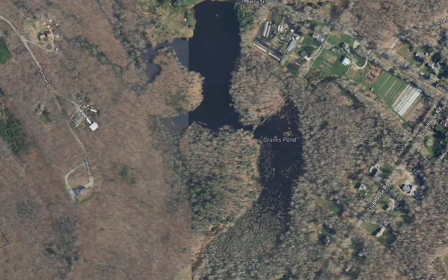 Satellite map of the Graves Pond