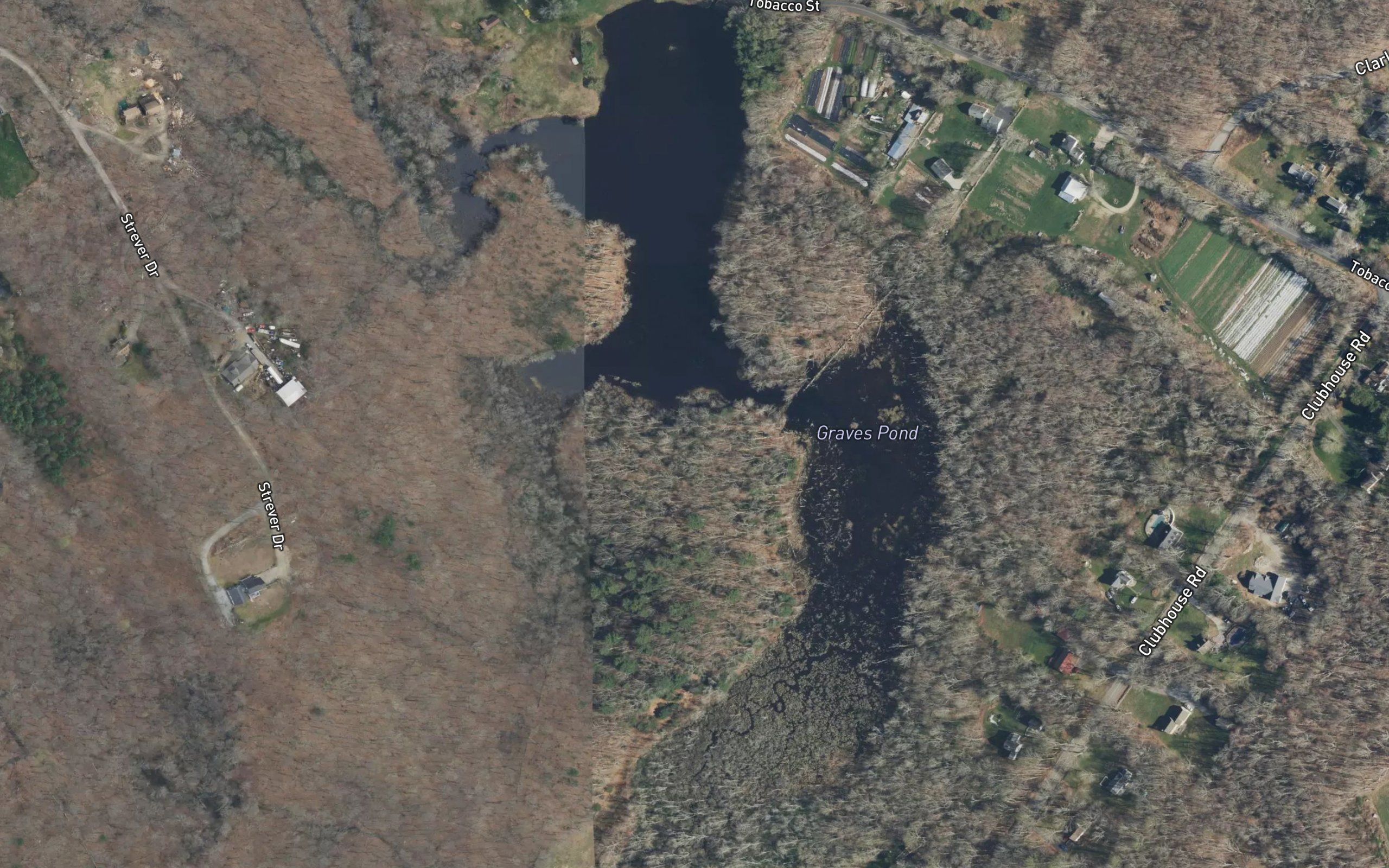 Graves Pond