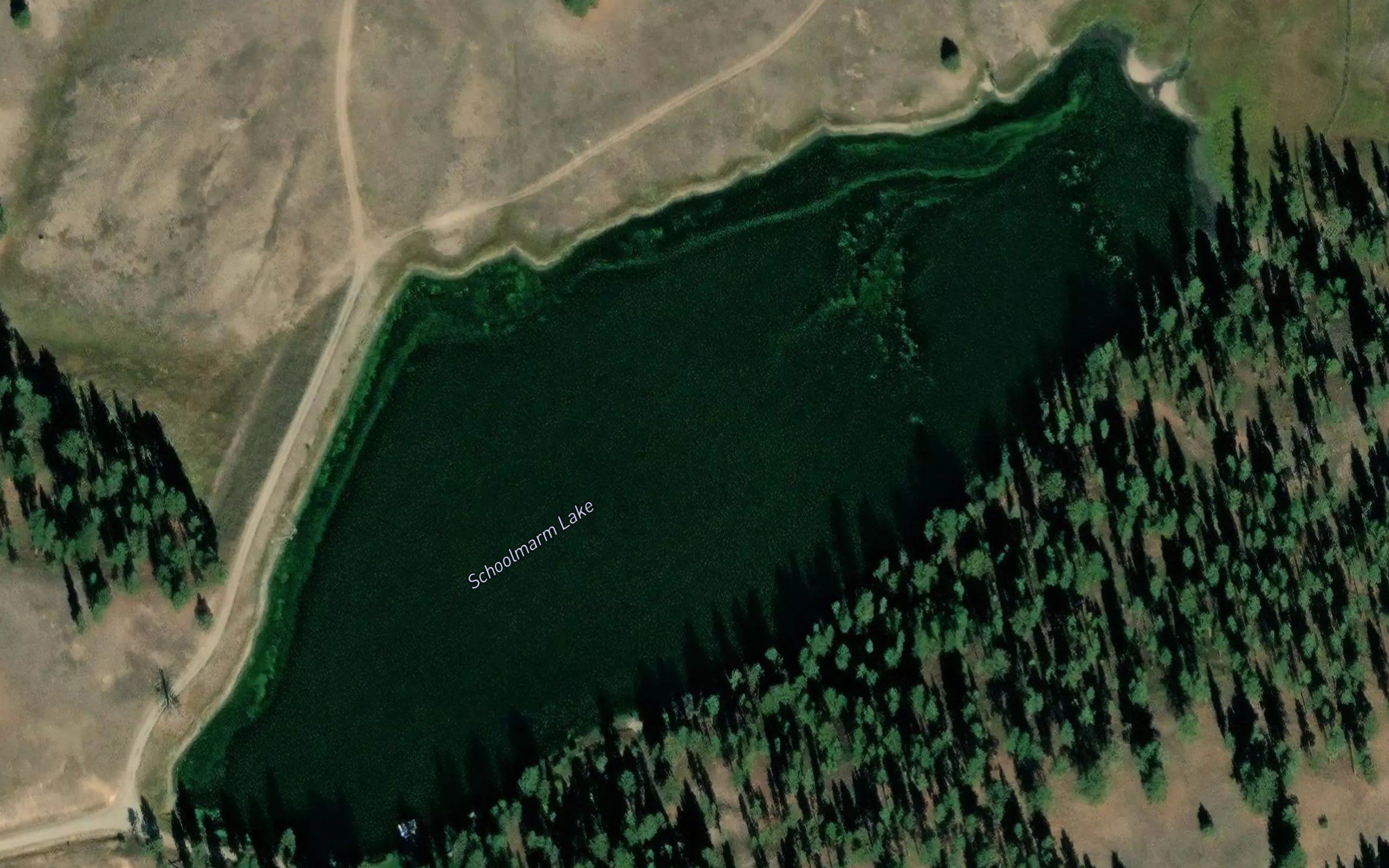 Schoolmarm Lake