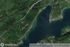Svarthopen