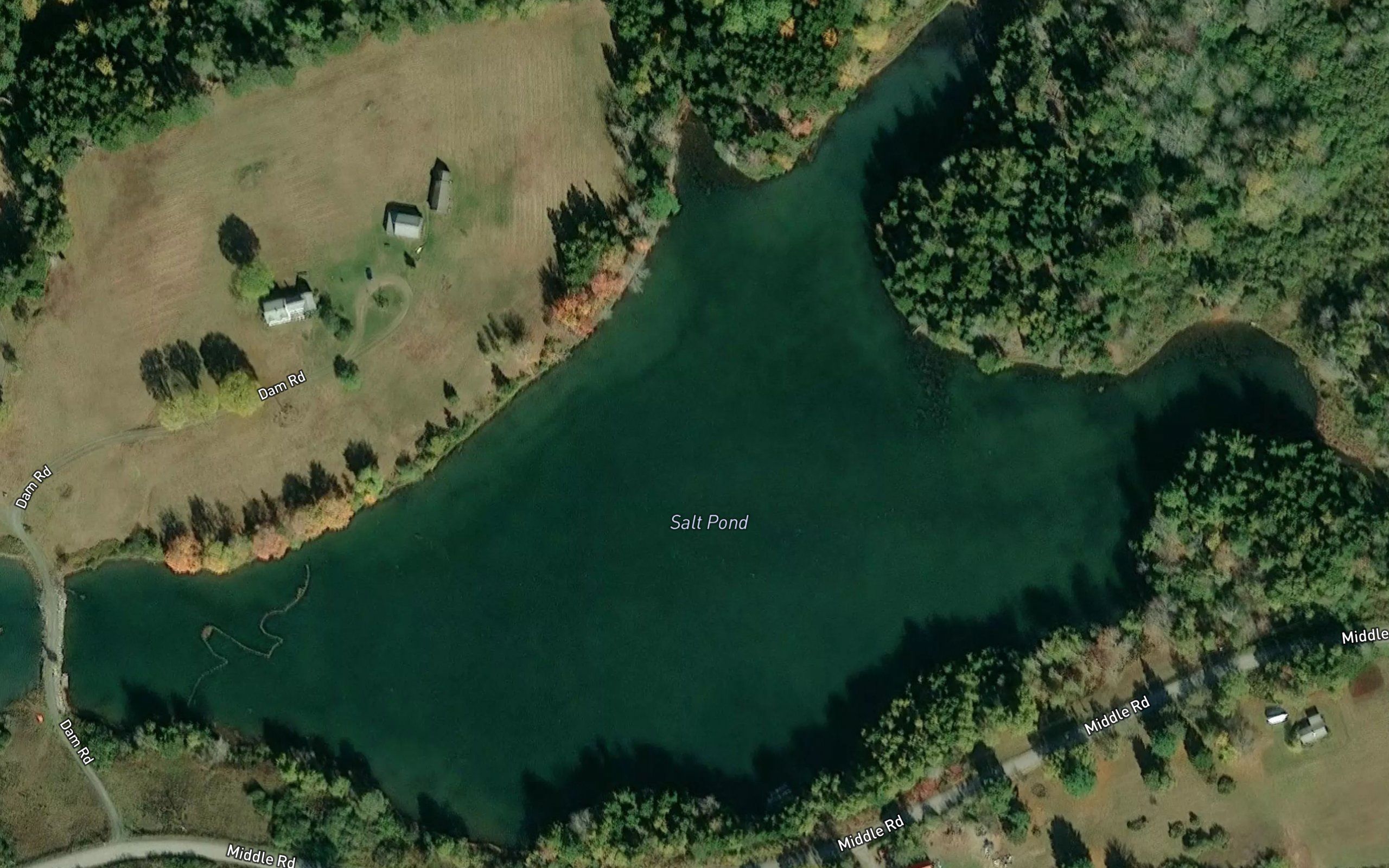 Salt Pond