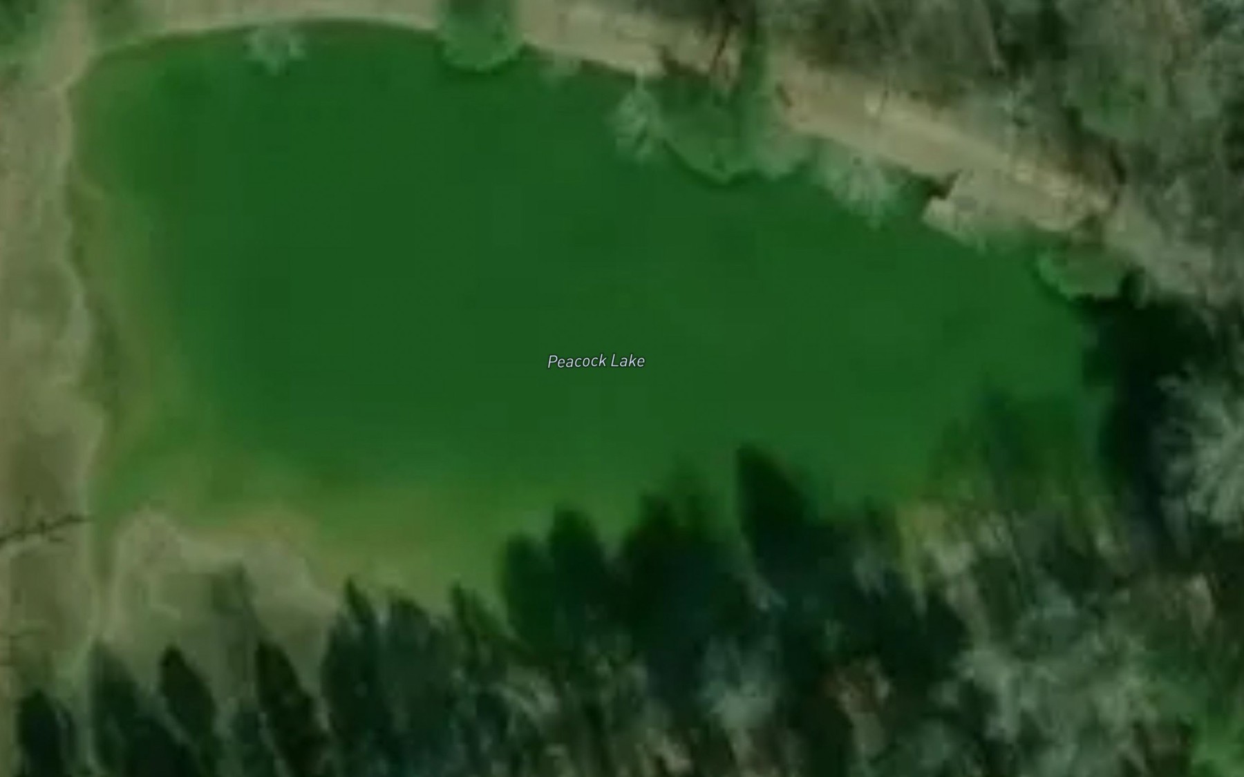 Satellite map of the Peacock Lake