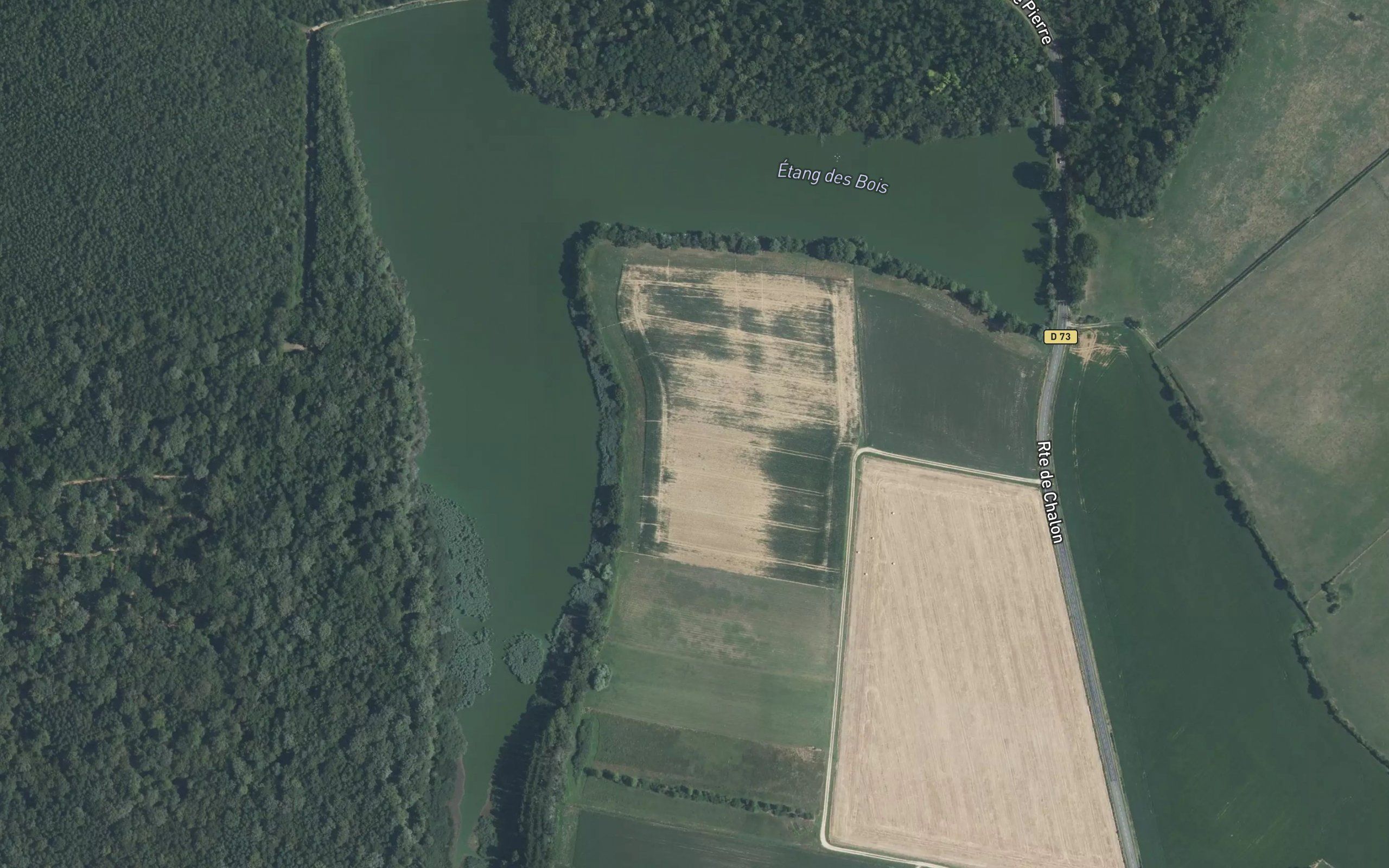 Etang des Bois