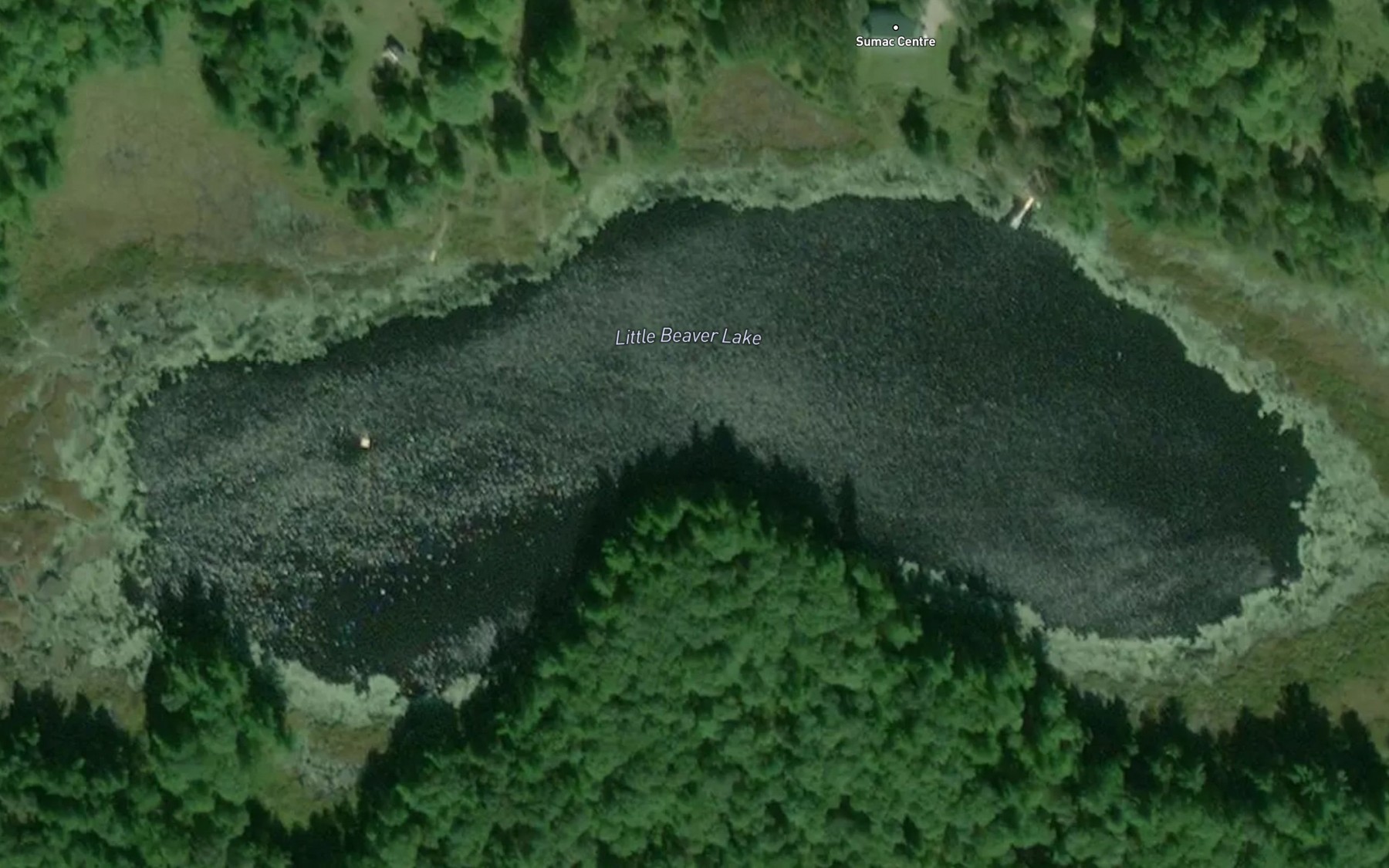 Satellite map of the Little Beaver Lake