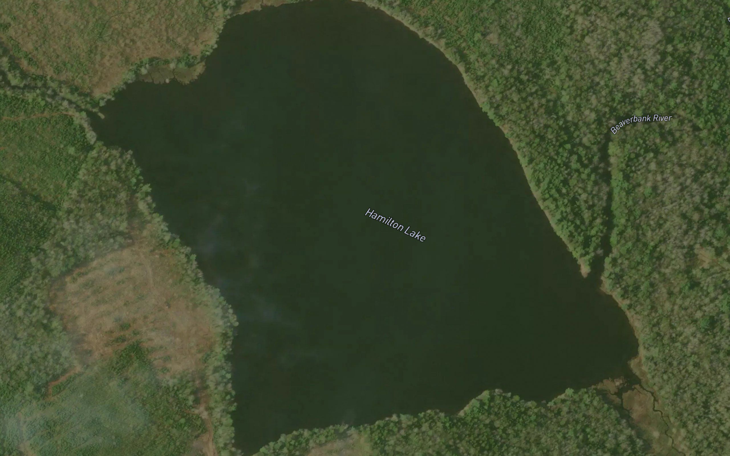 Hamilton Lake