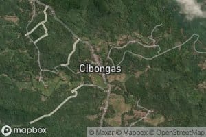 Ci Gadung