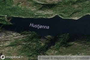 Hustjorna