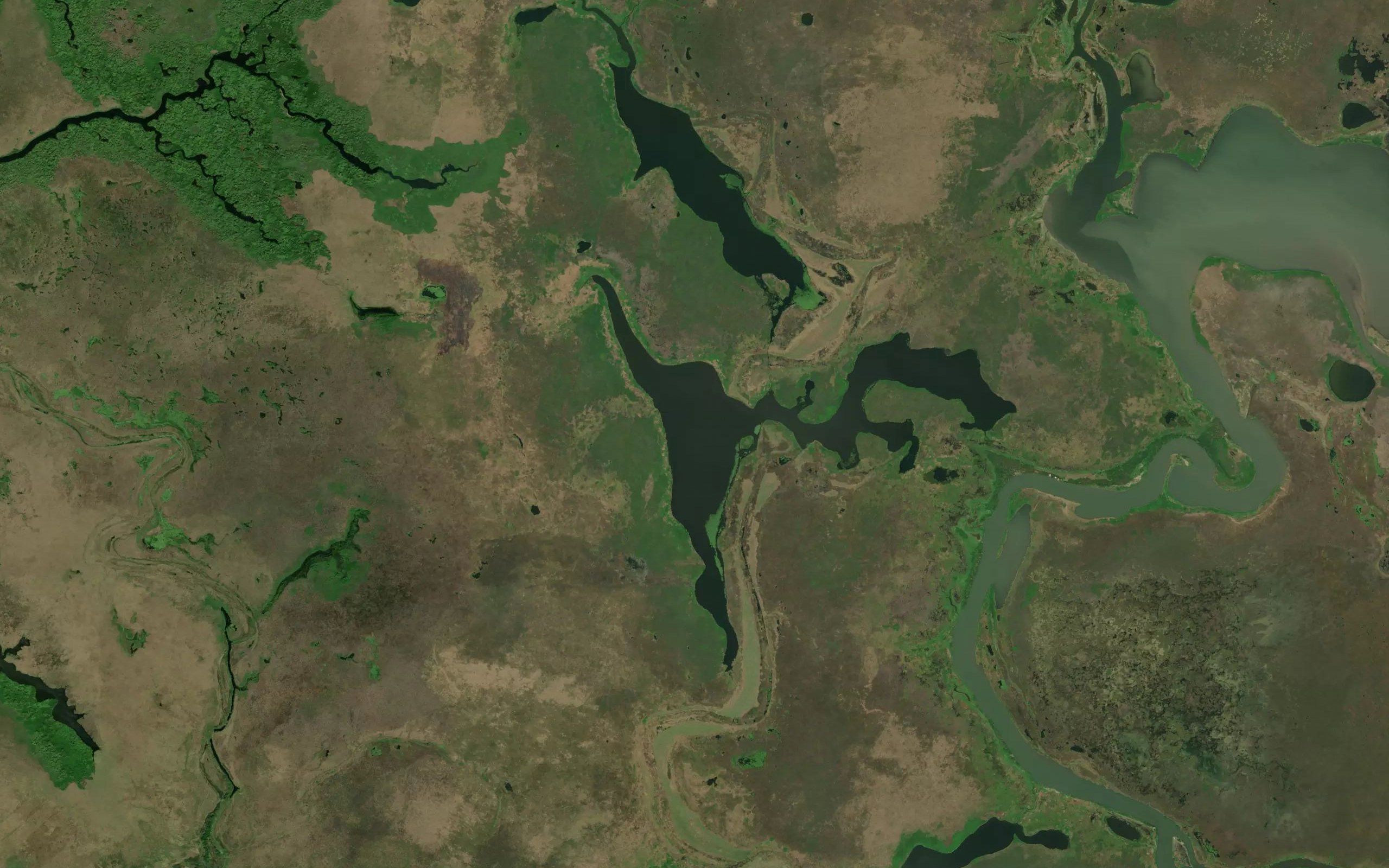 Laguna Tronconada
