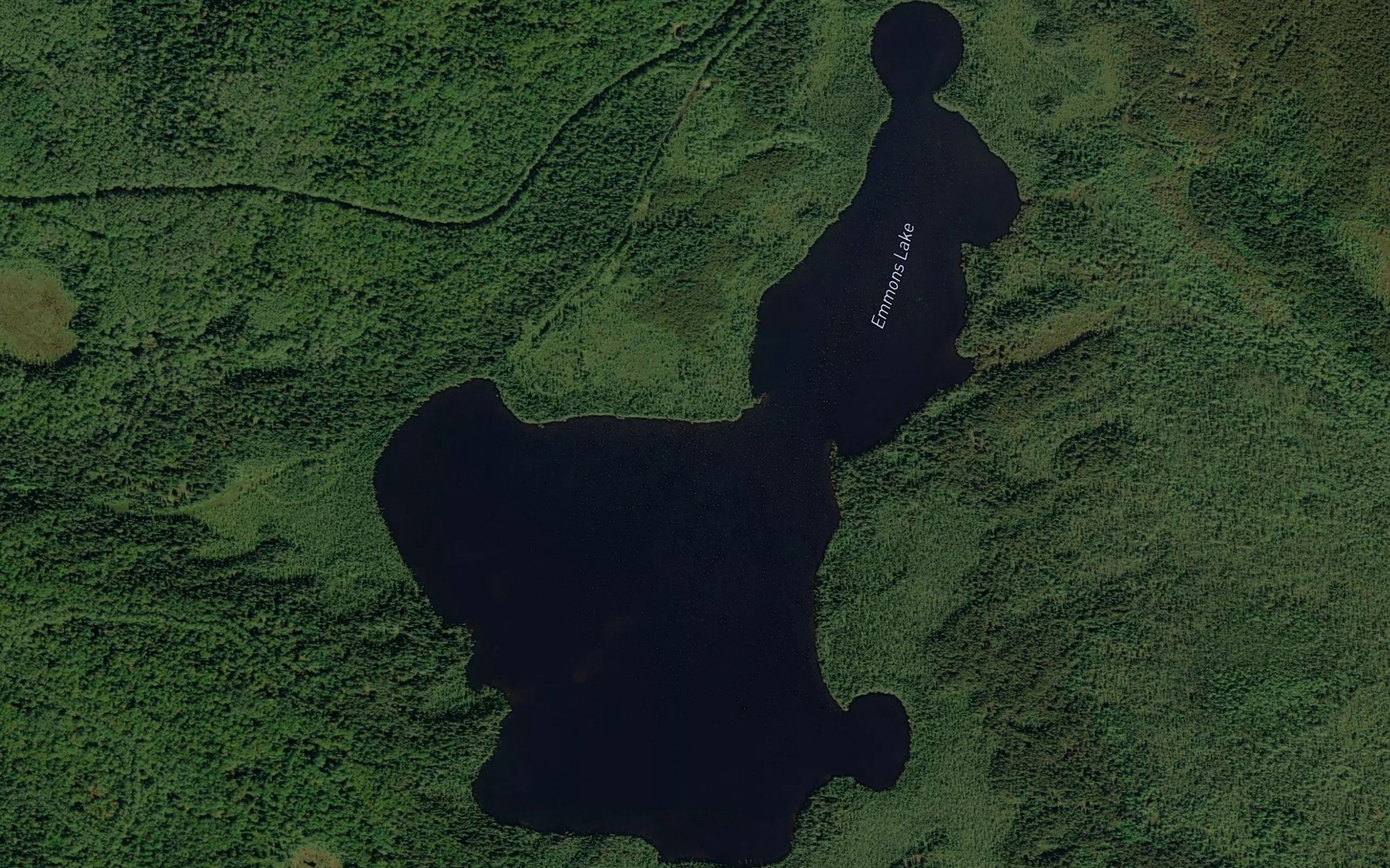 Satellite map of the Emmons Lake
