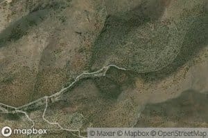 Quaking Aspen Spring