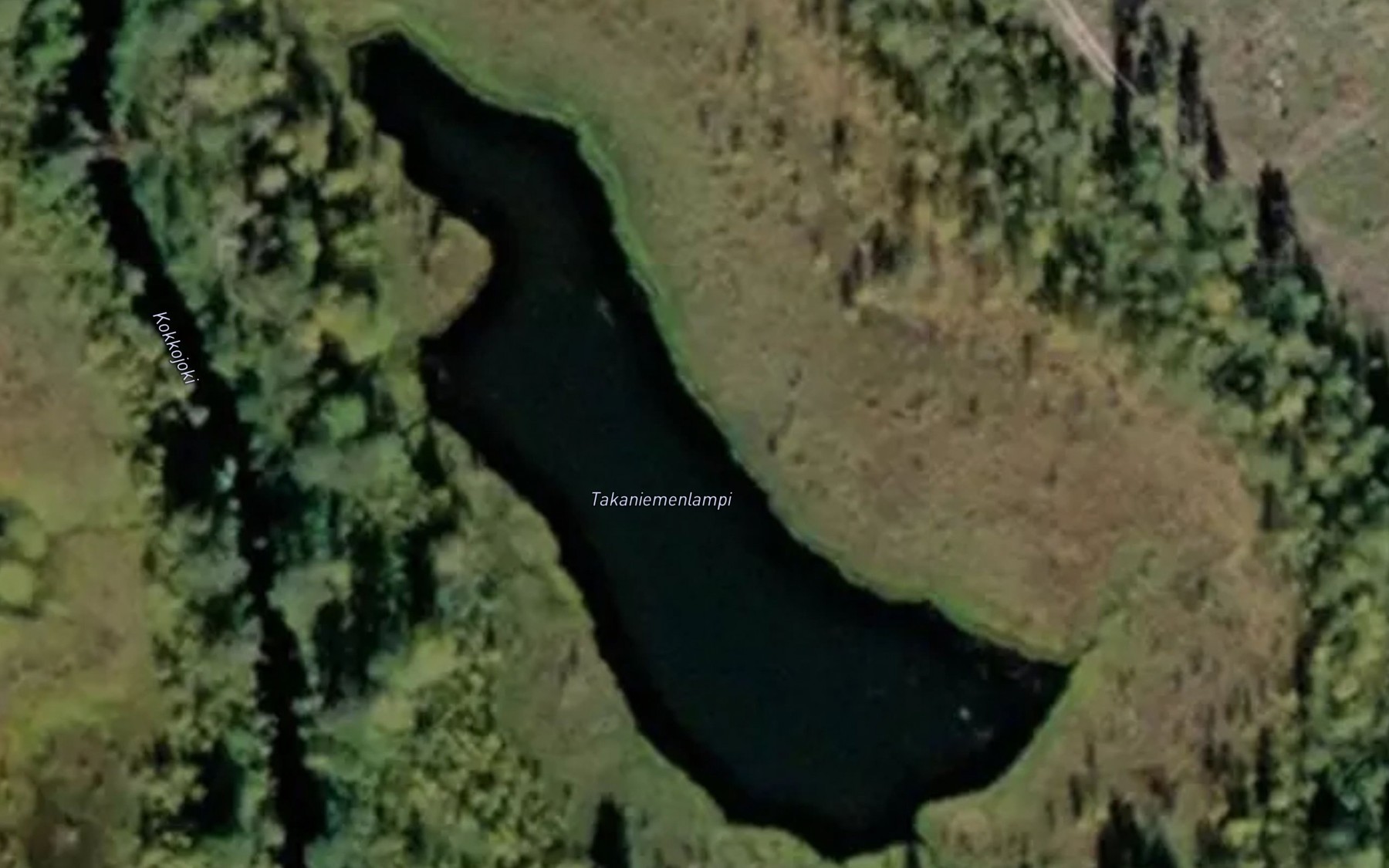 Satellite map of the Takaniemenlampi