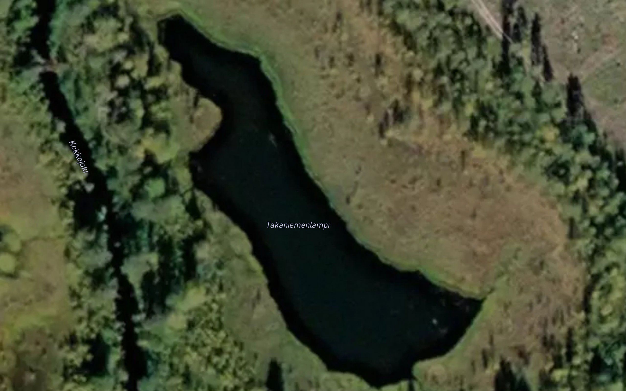 Takaniemenlampi