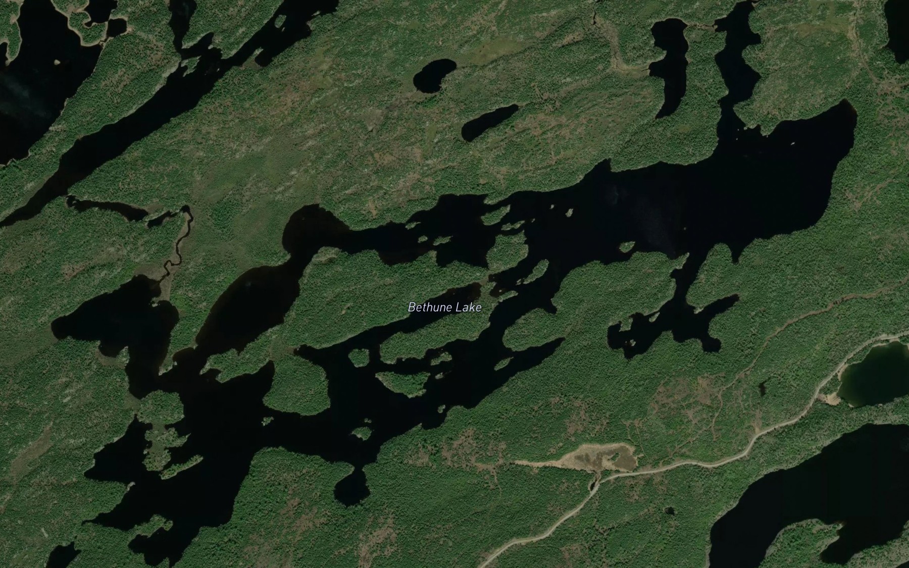 Satellite map of the Bethune Lake
