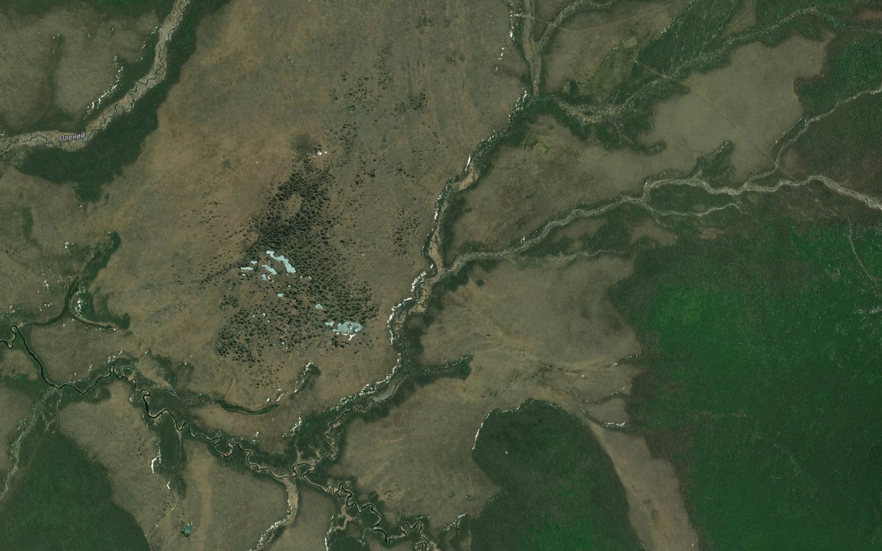 Satellite map of the Slivina