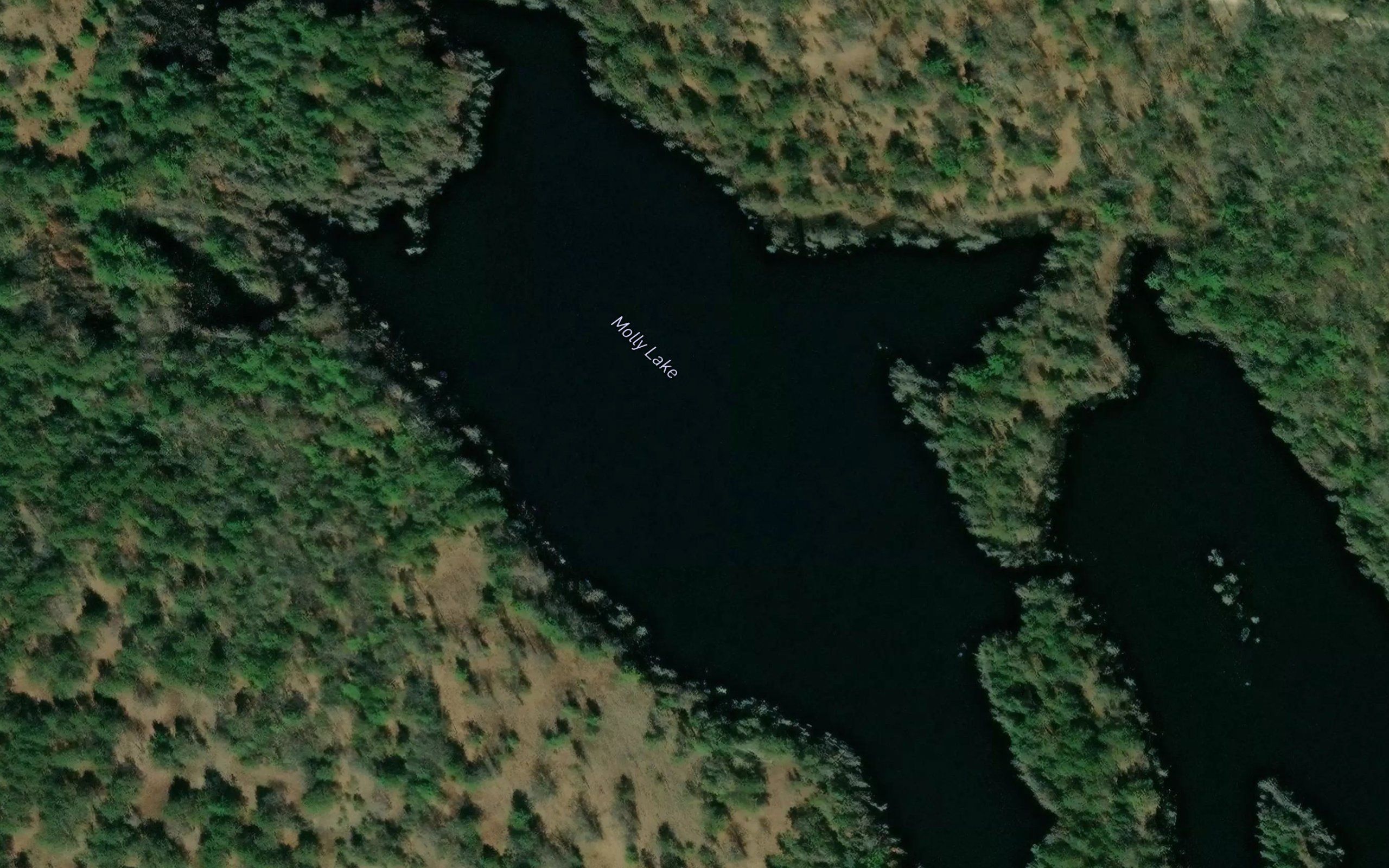 Molly Lake