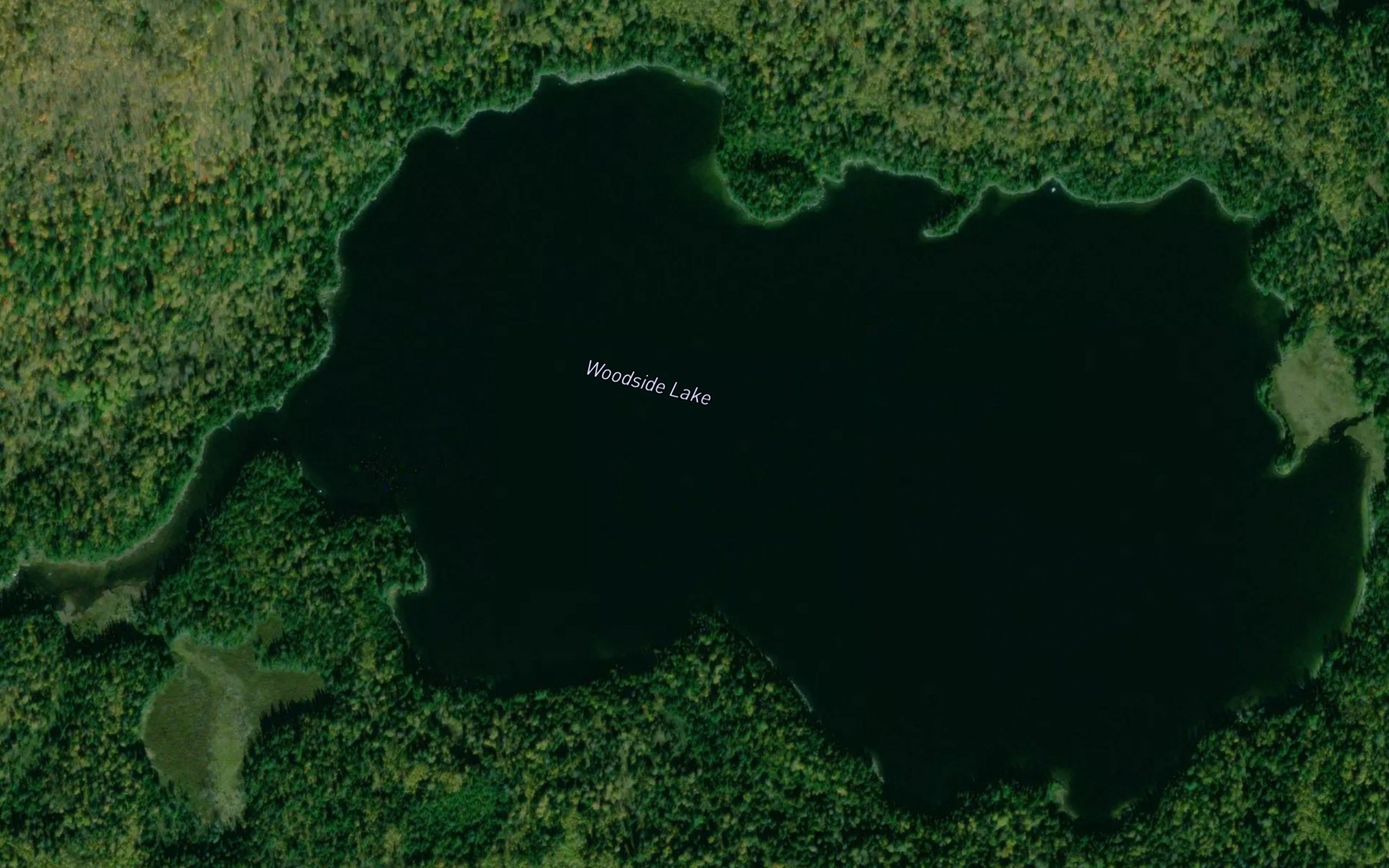 Satellite map of the Woodside Lake
