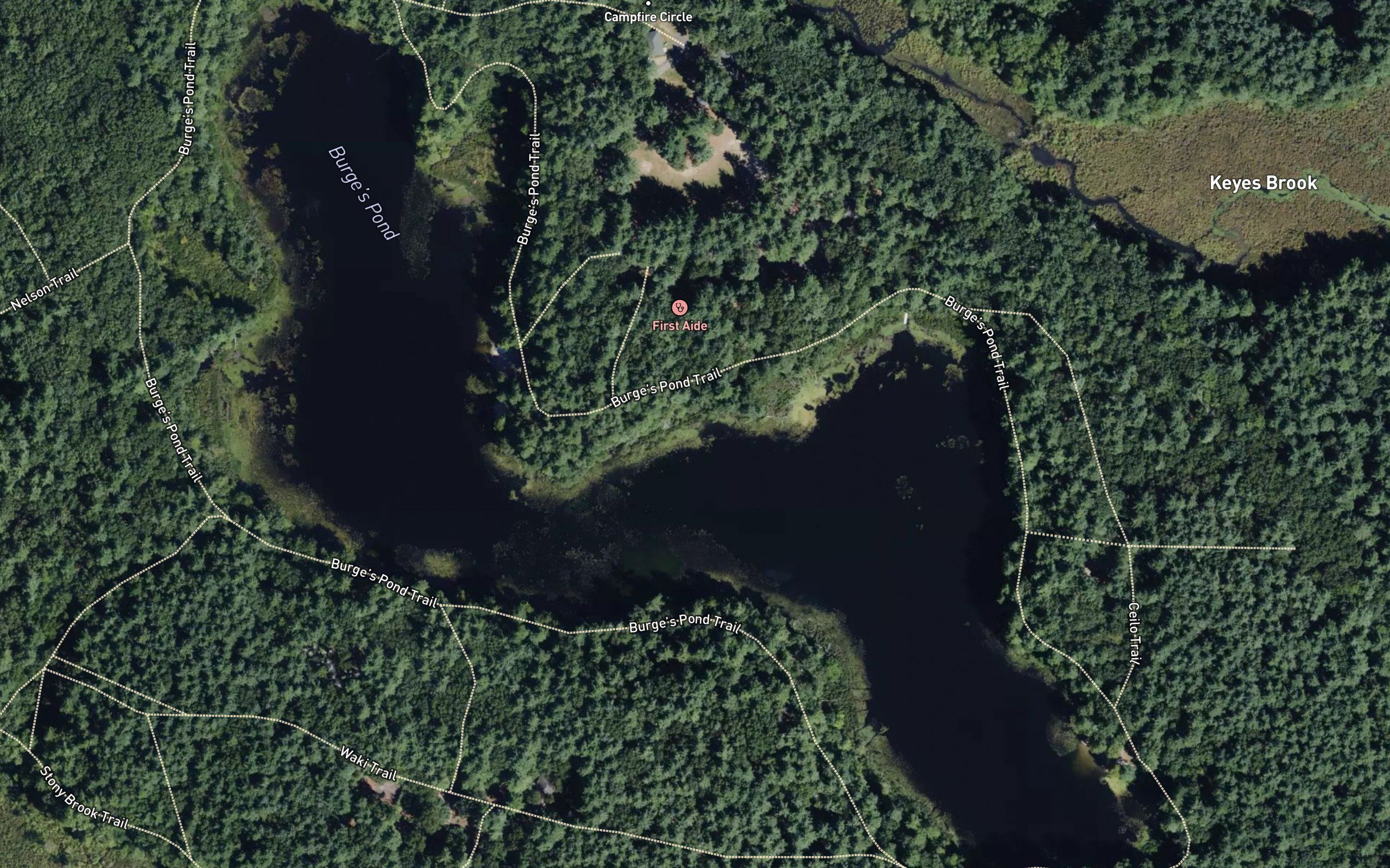 Burges Pond