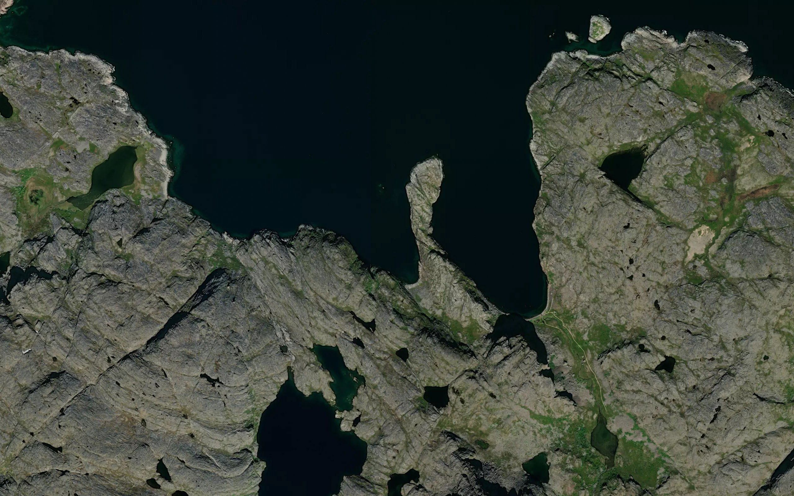 Sarjevuodna