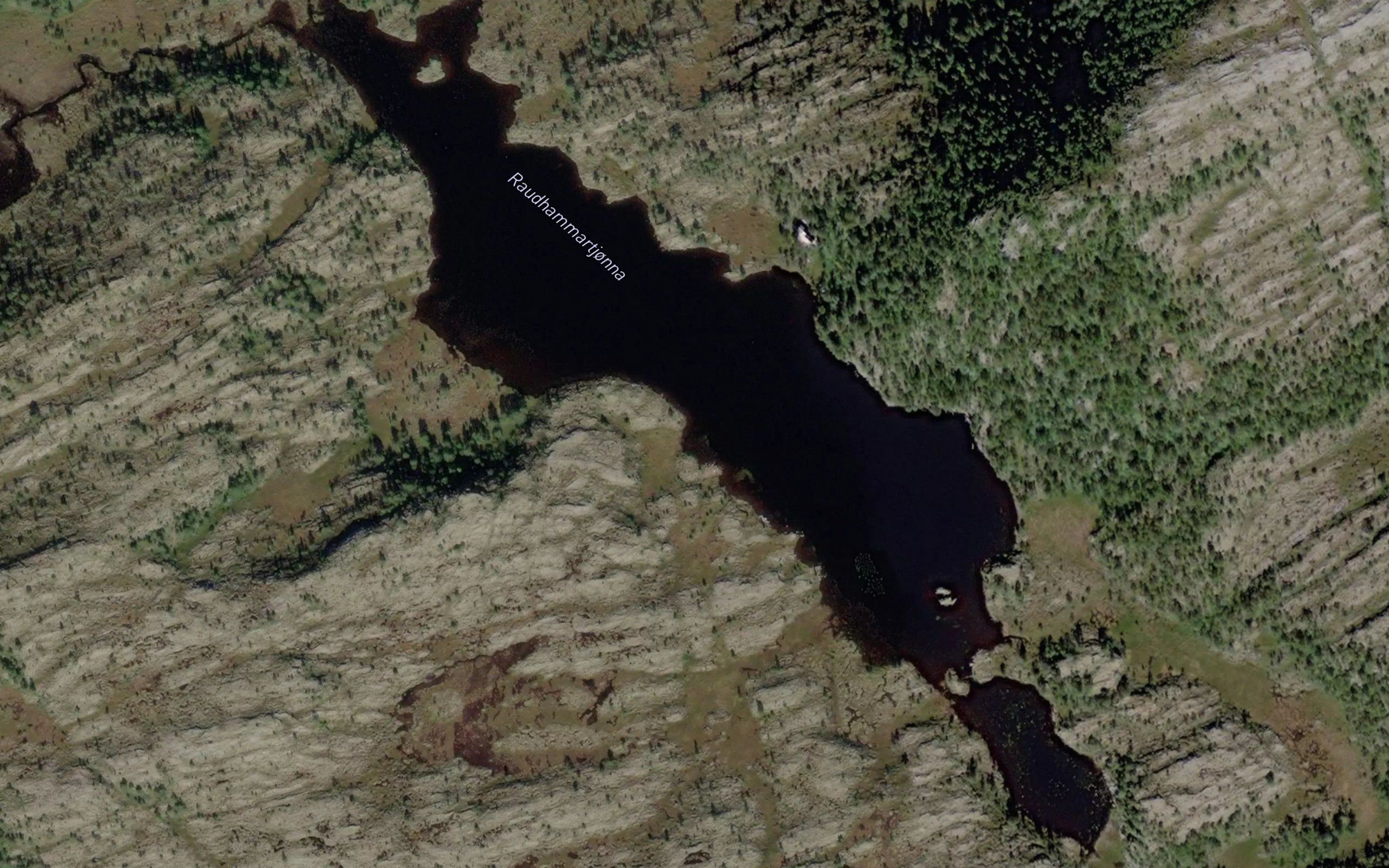 Rauhammartjorna