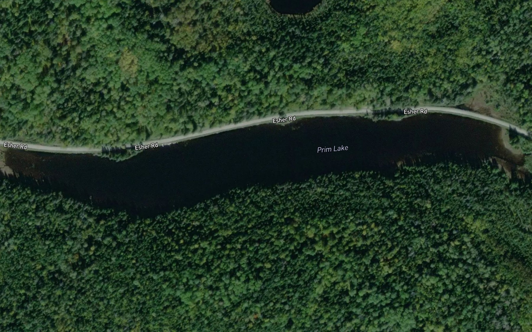 Satellite map of the Prim Lake