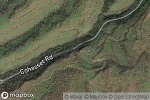 Cohasset Pioneers Spring