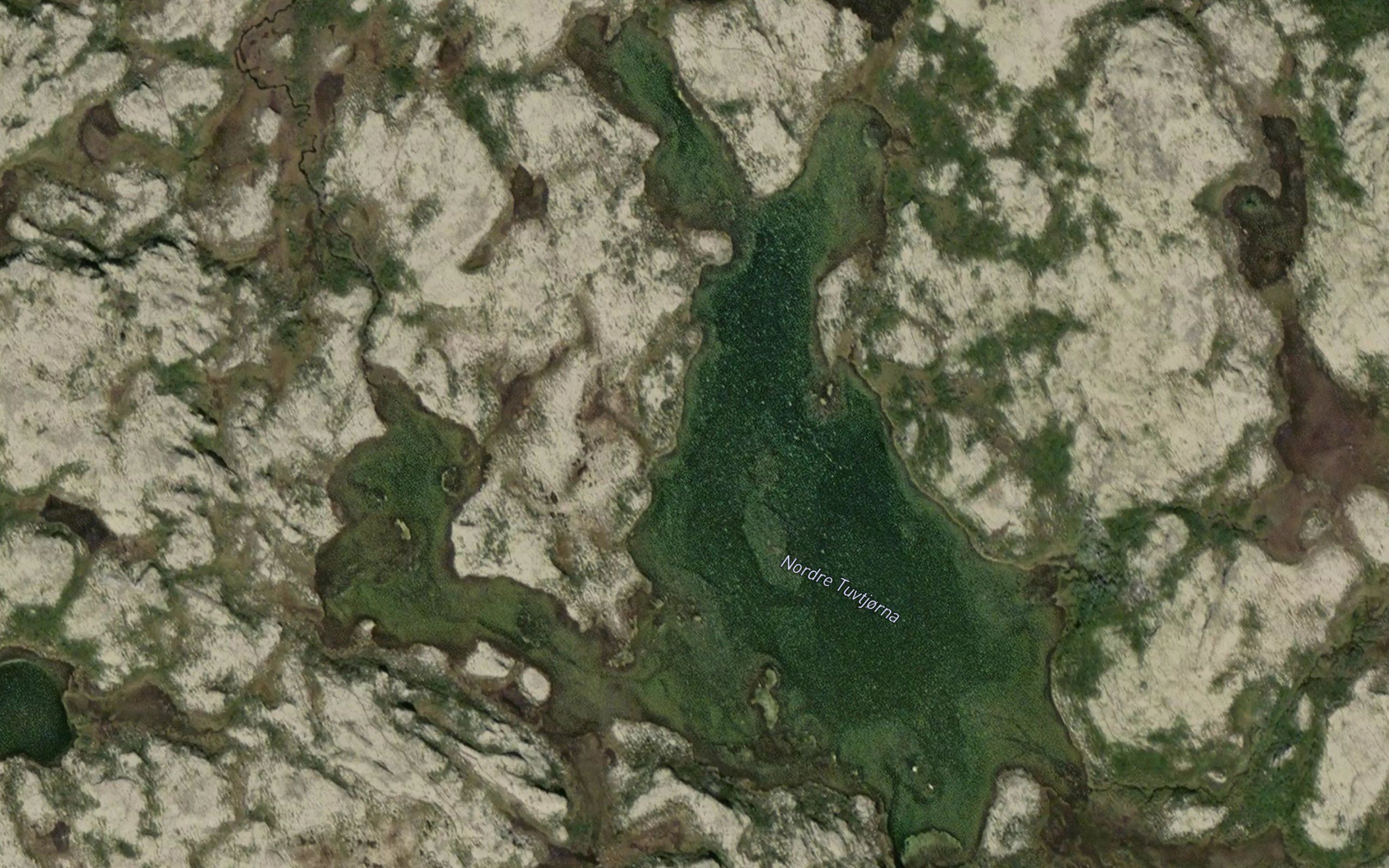 Nordtjuvtjonna