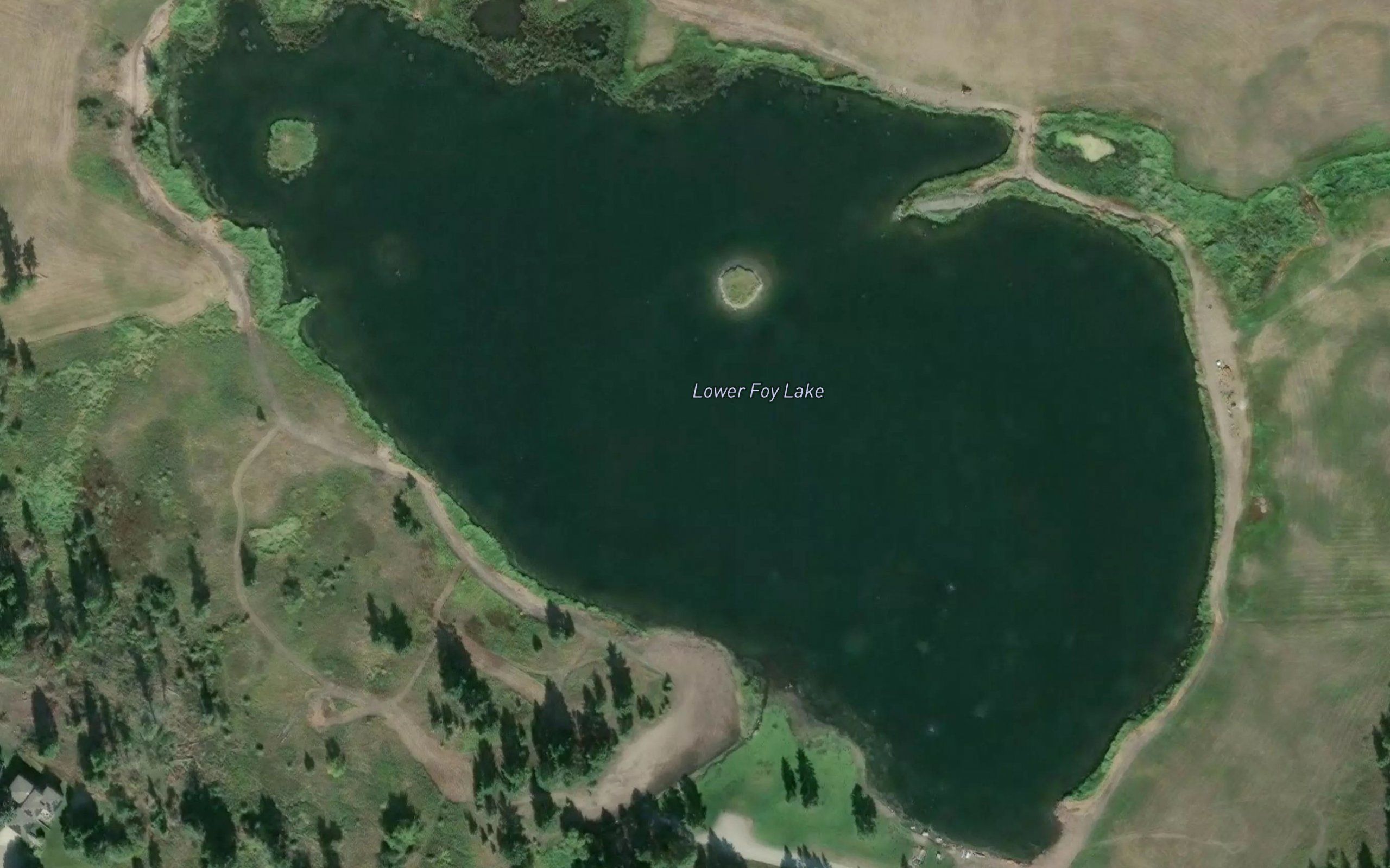 Lower Foy Lake