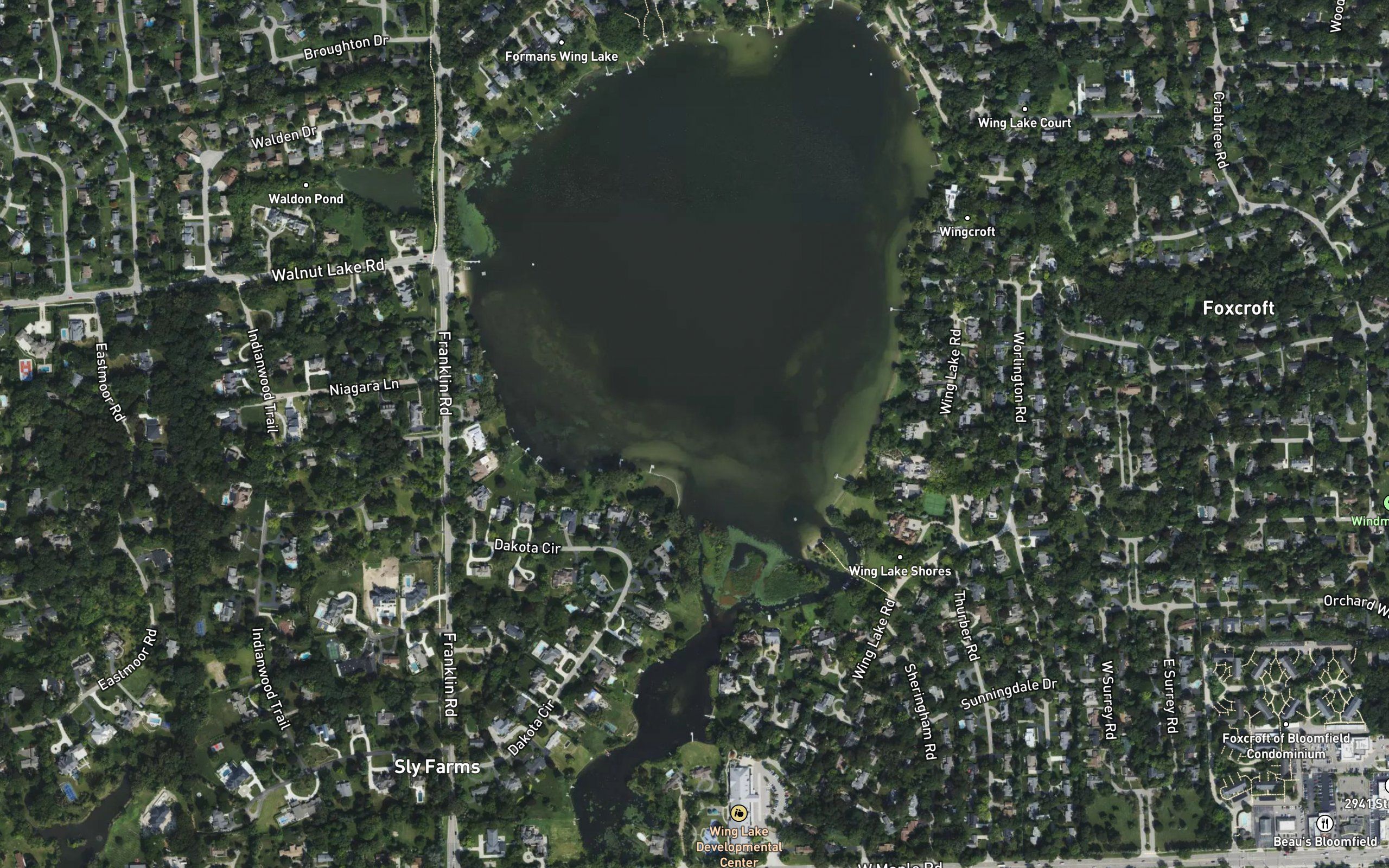 Wing Lake