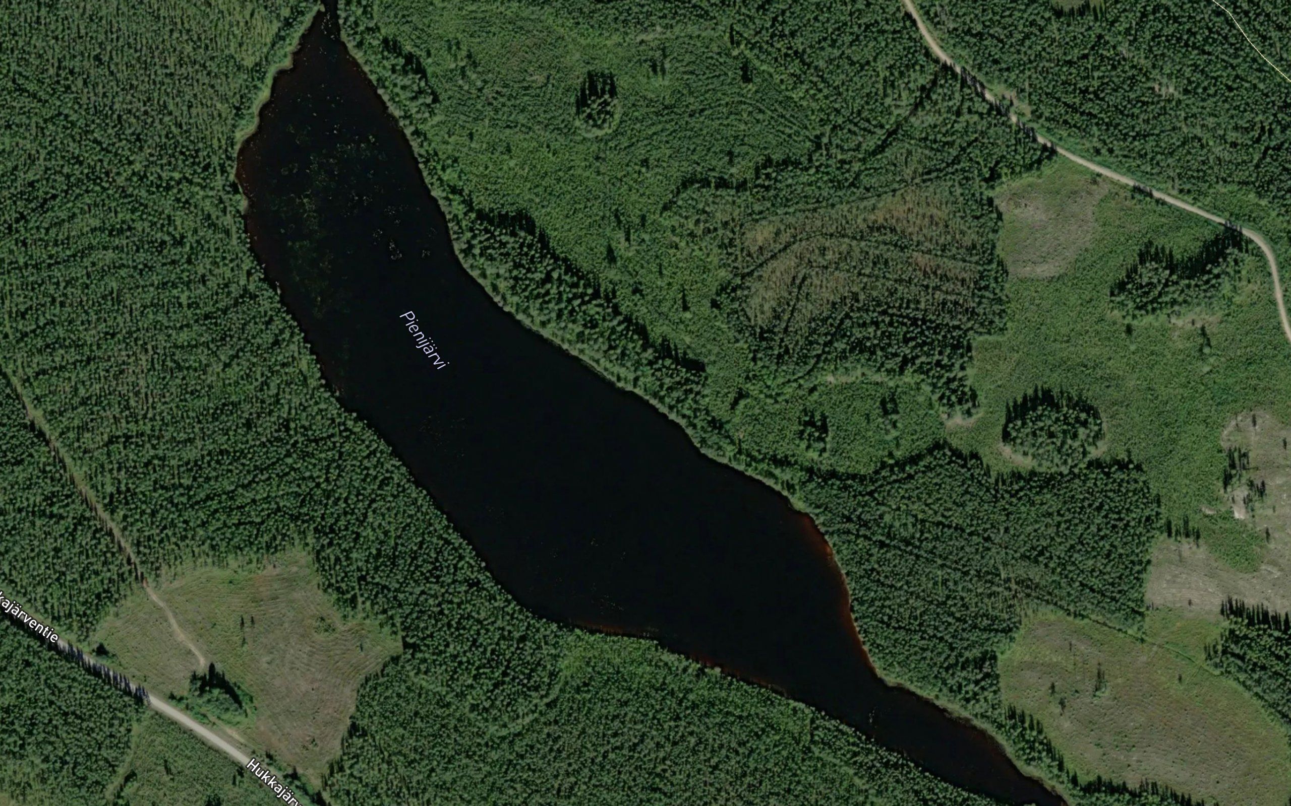 Pienijarvi