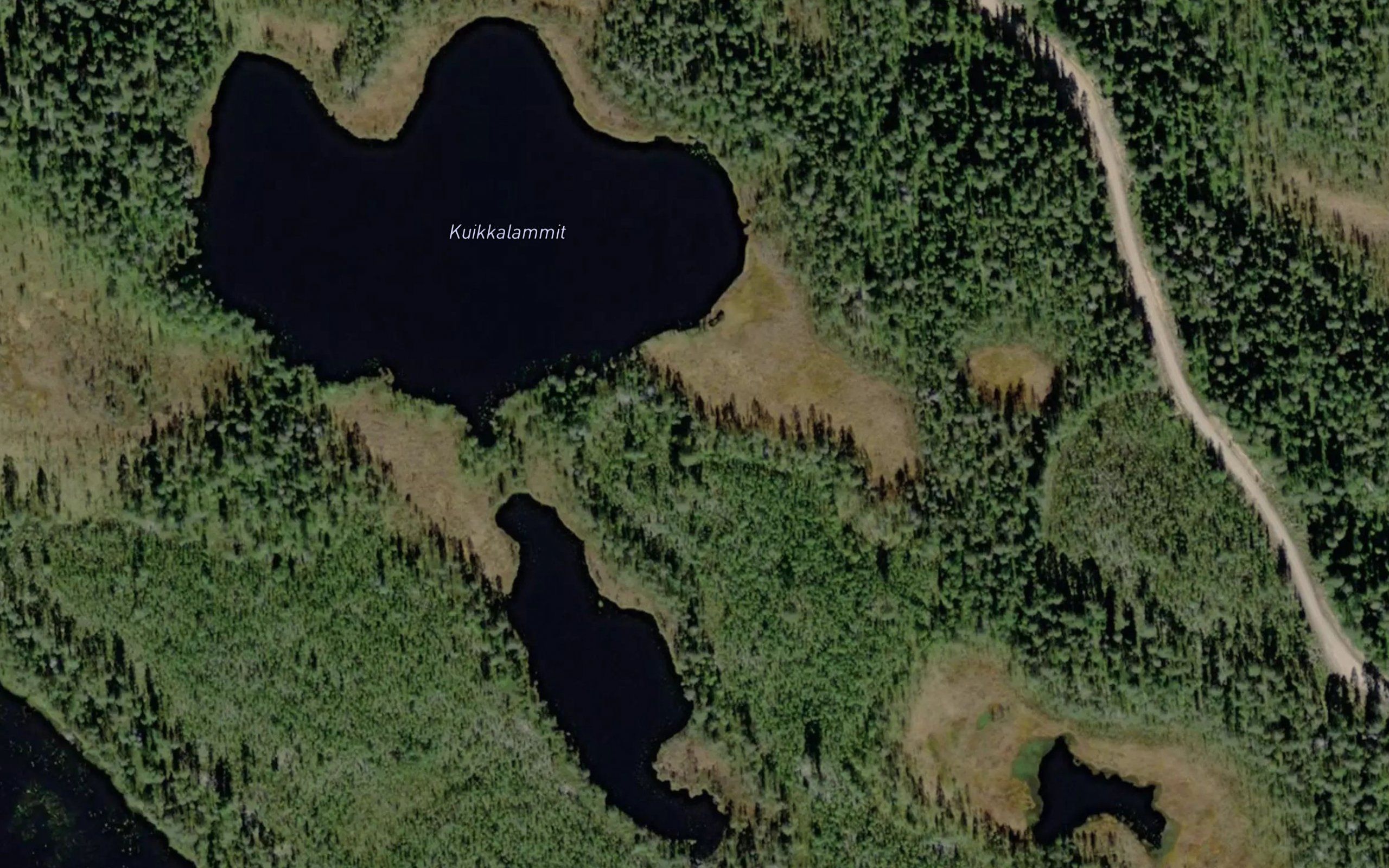 Kuikkalammit