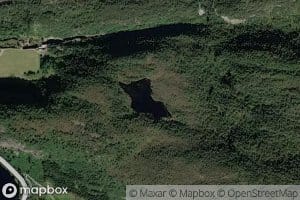 Lomtjorna
