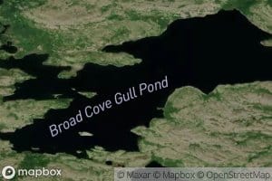 Broad Cove Gull Pond