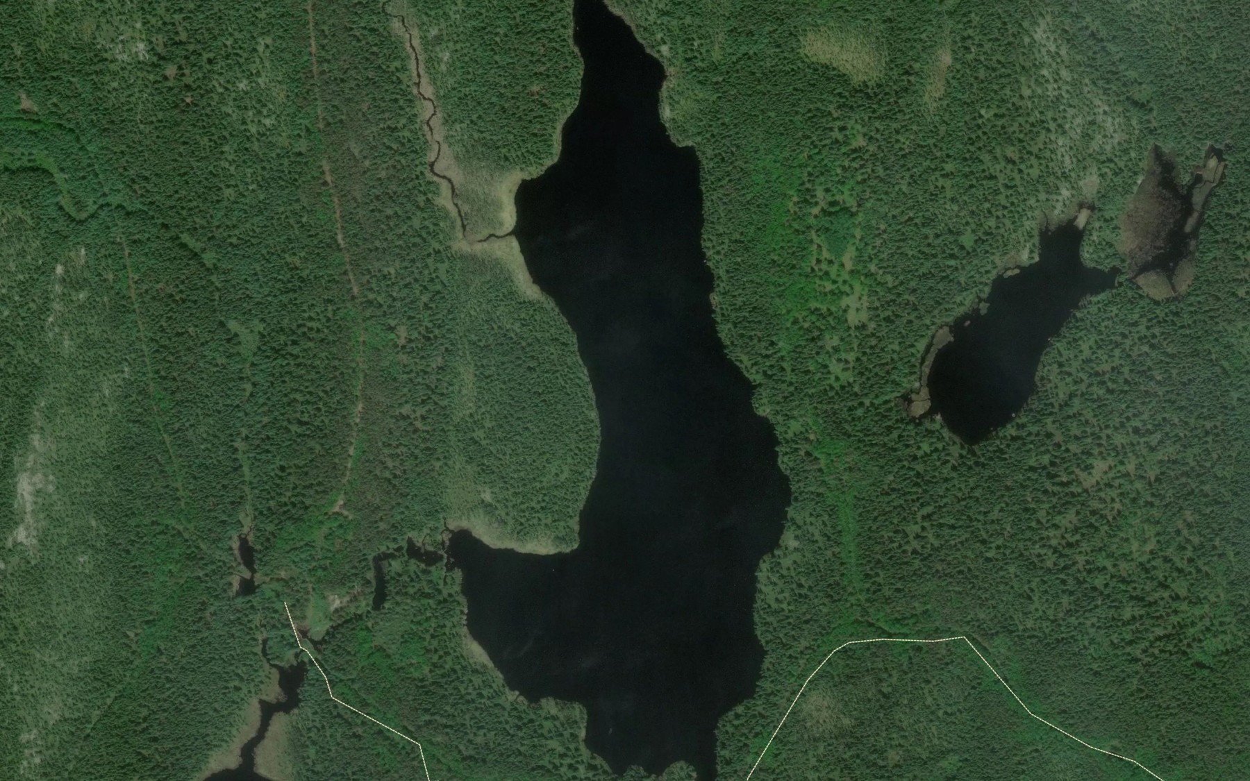 Satellite map of the Lac de la Grange-Etable